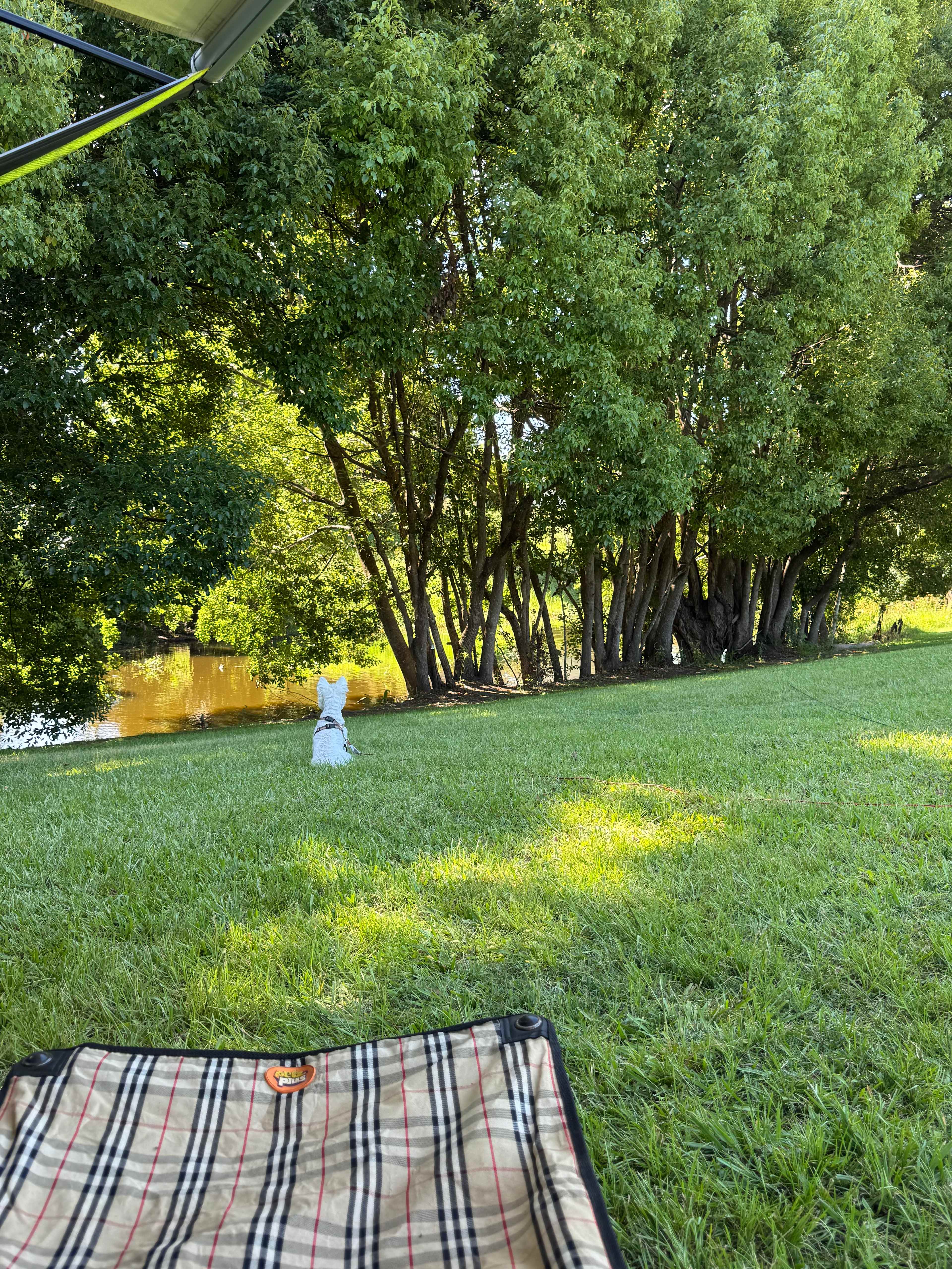 Kenilworth Rural Camping