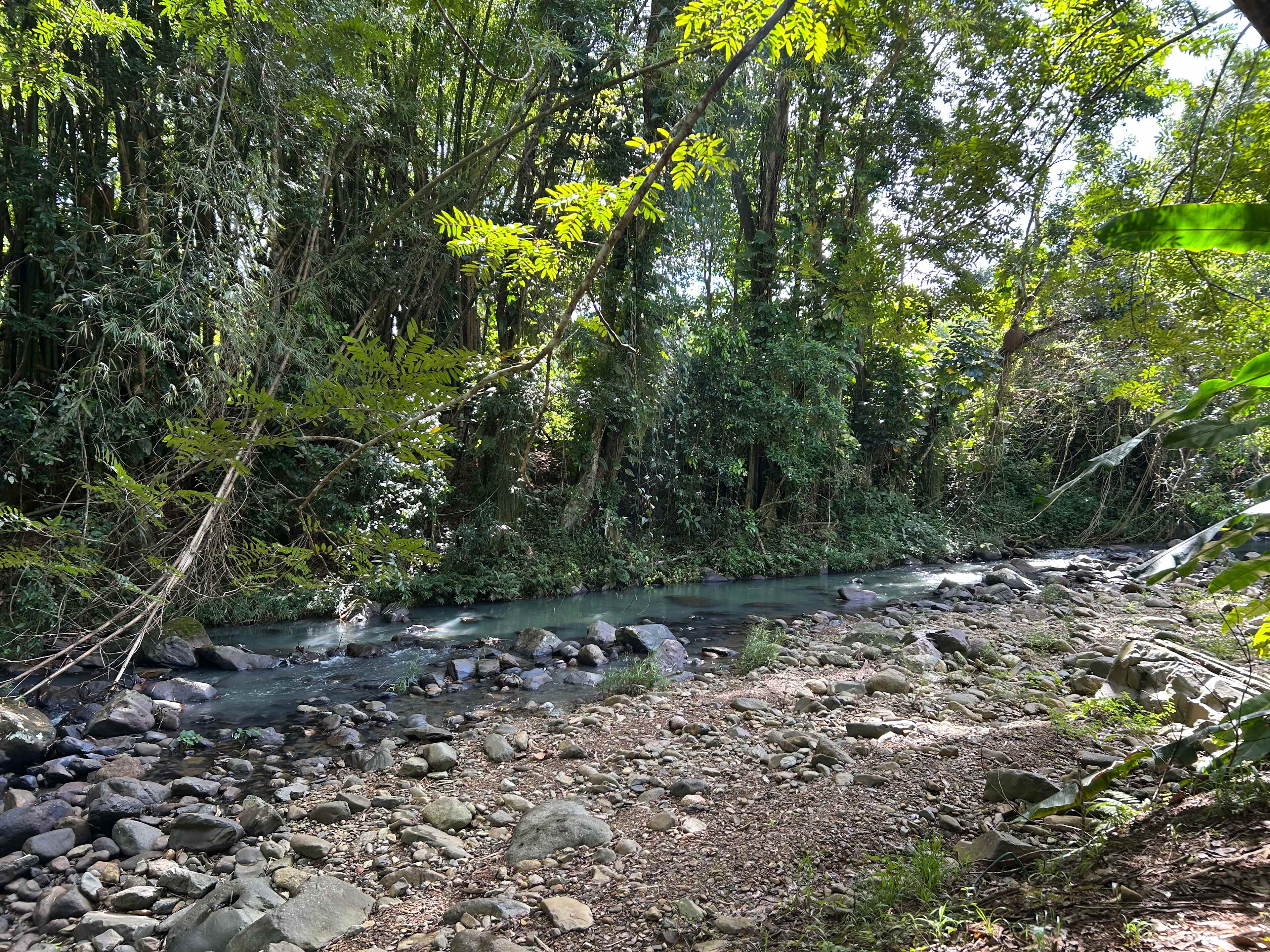 Hacienda Monte Rey near El Yunque