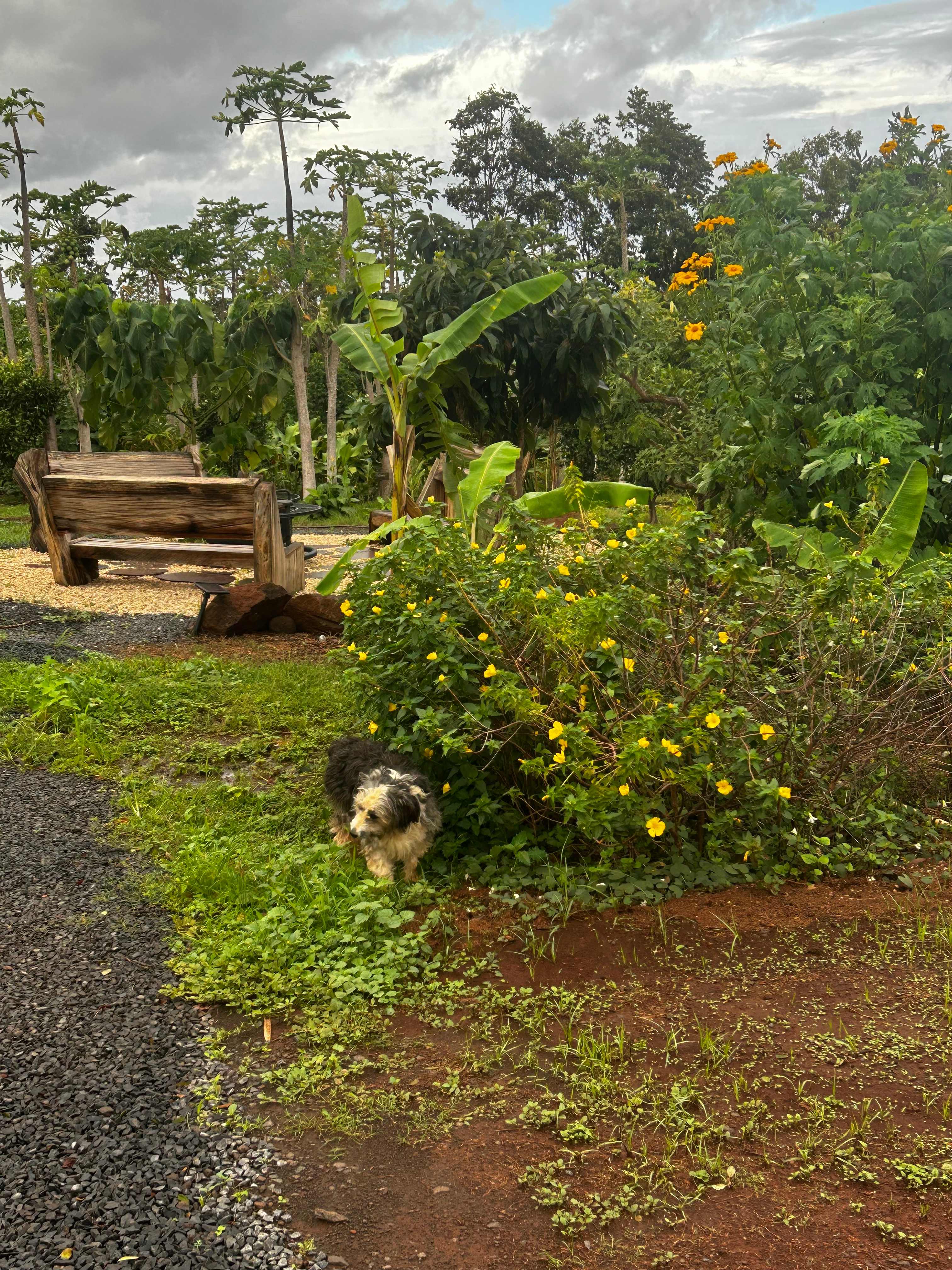 Living Circle Farms Hawaii