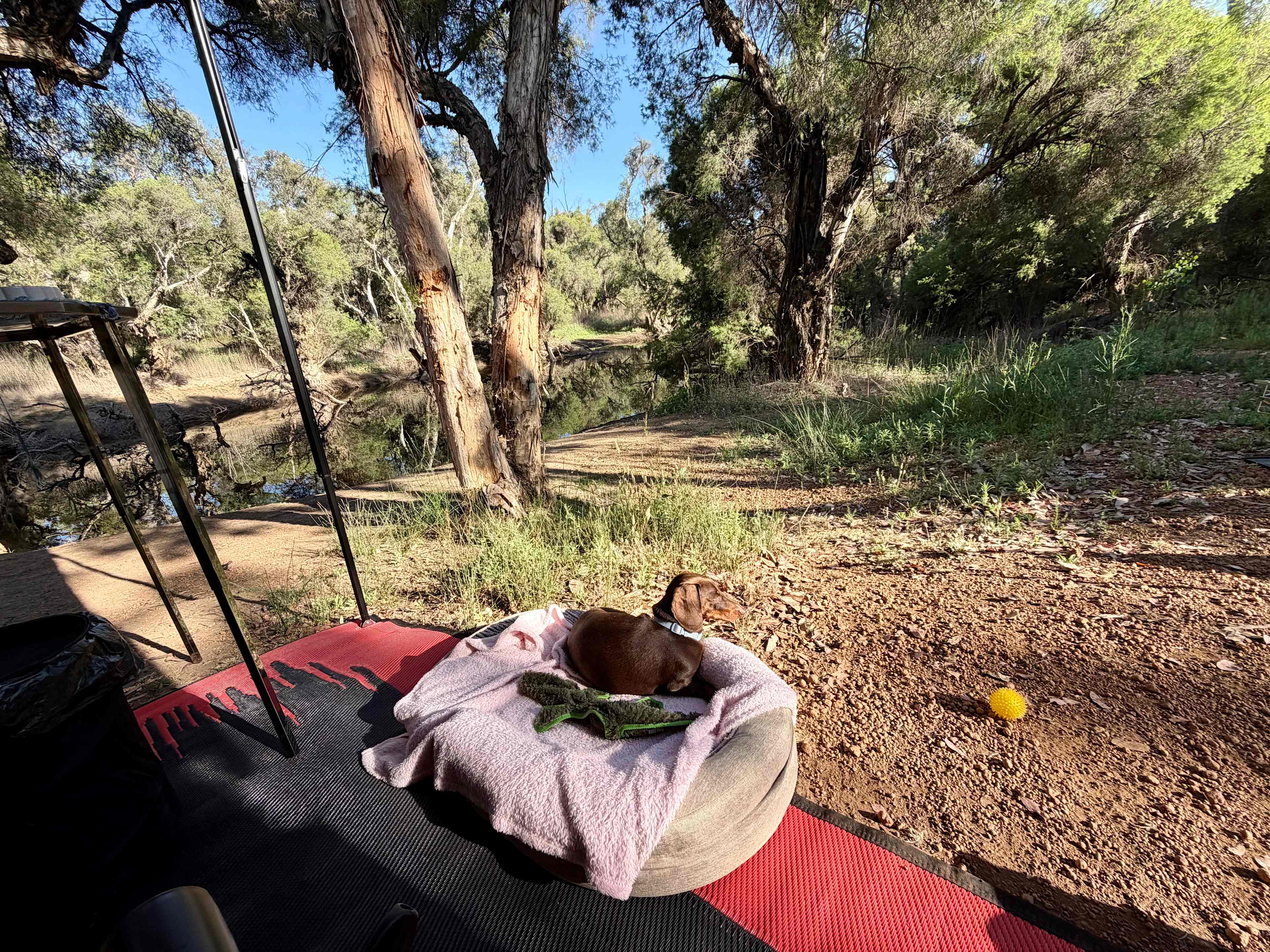 Murray Valley Camping