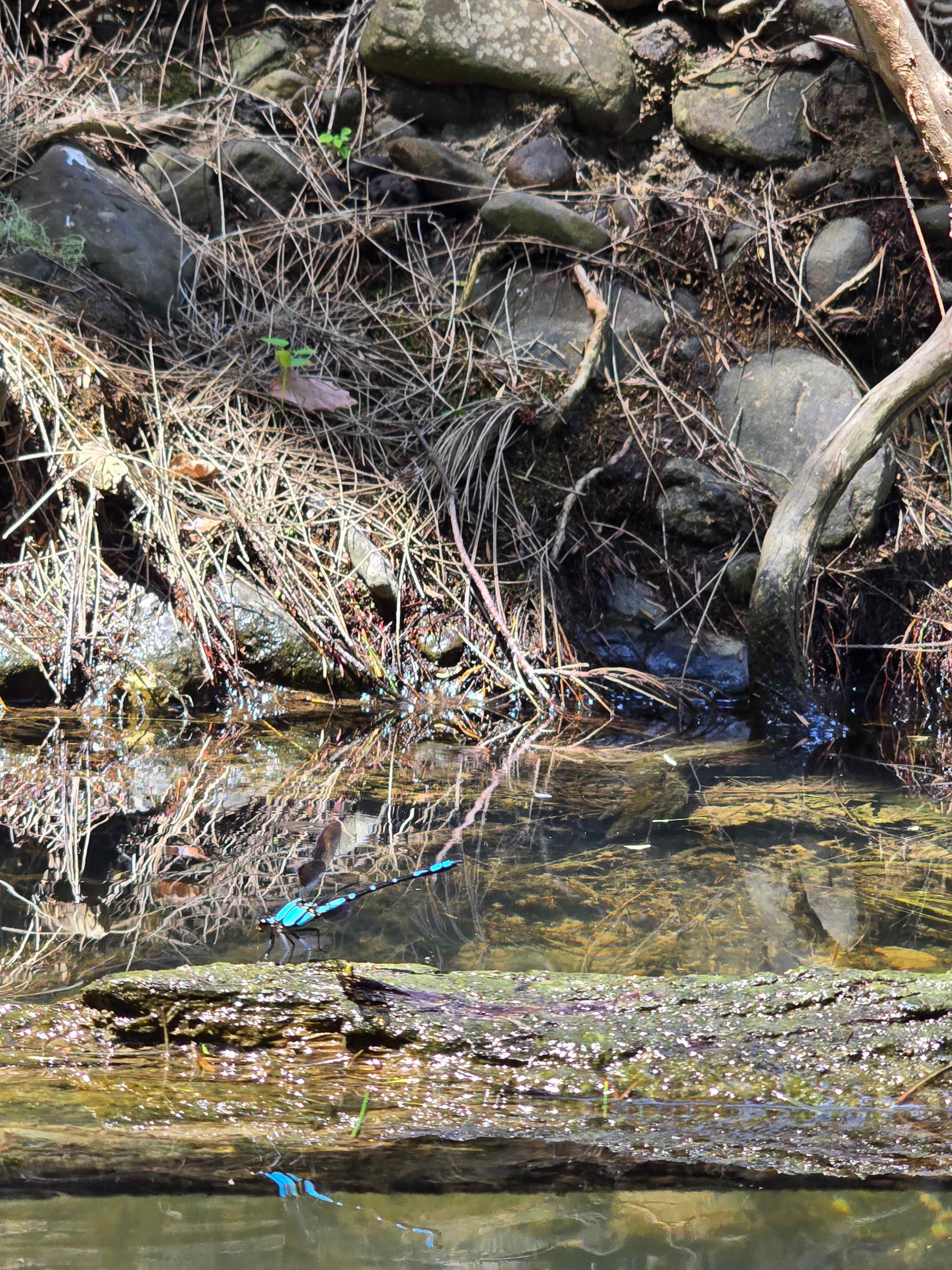 Tyungun Country Retreat