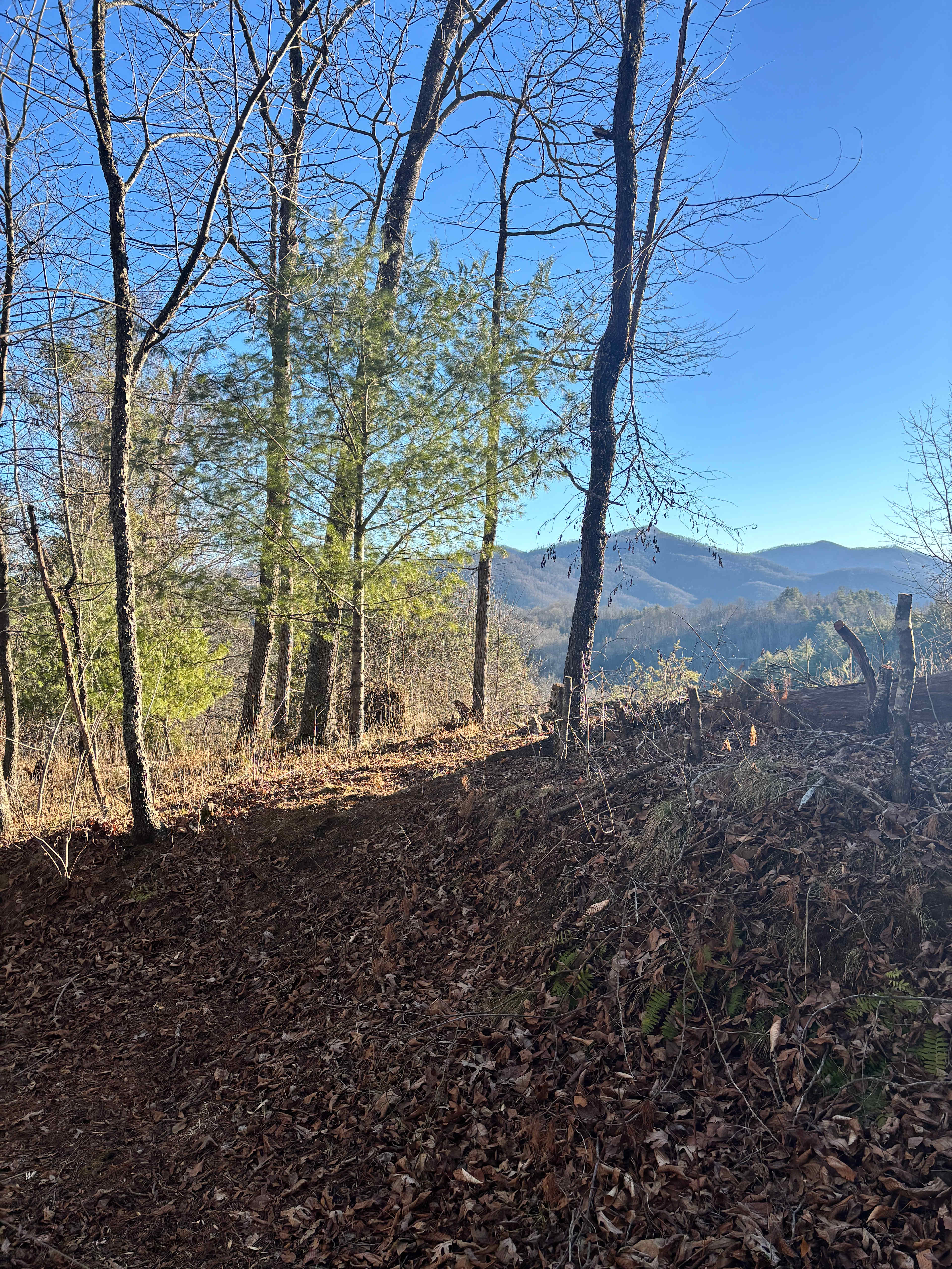 Romantic, hot tub, pet friendly