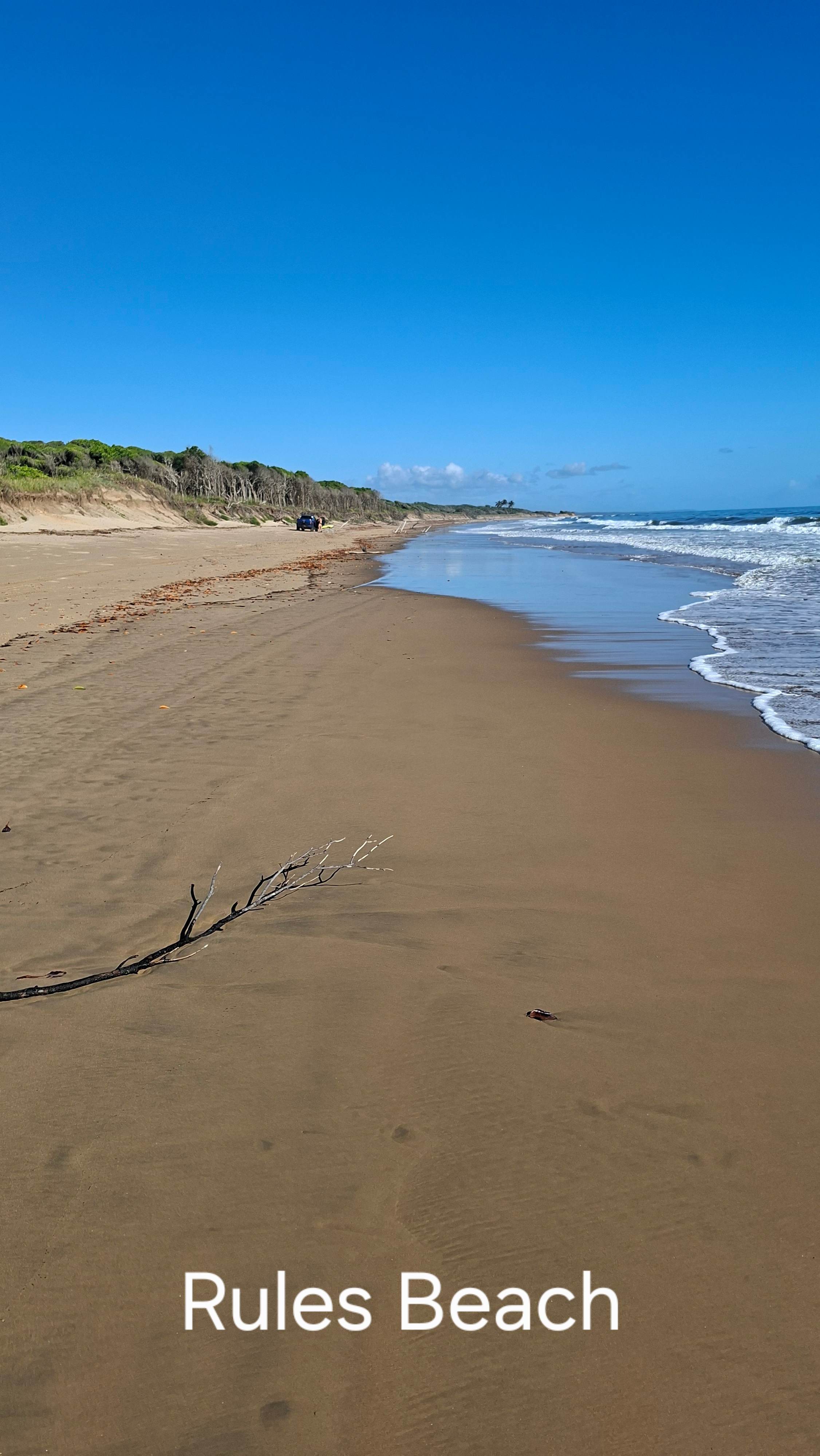 Rules Beach Turtles Bushcamp🐢