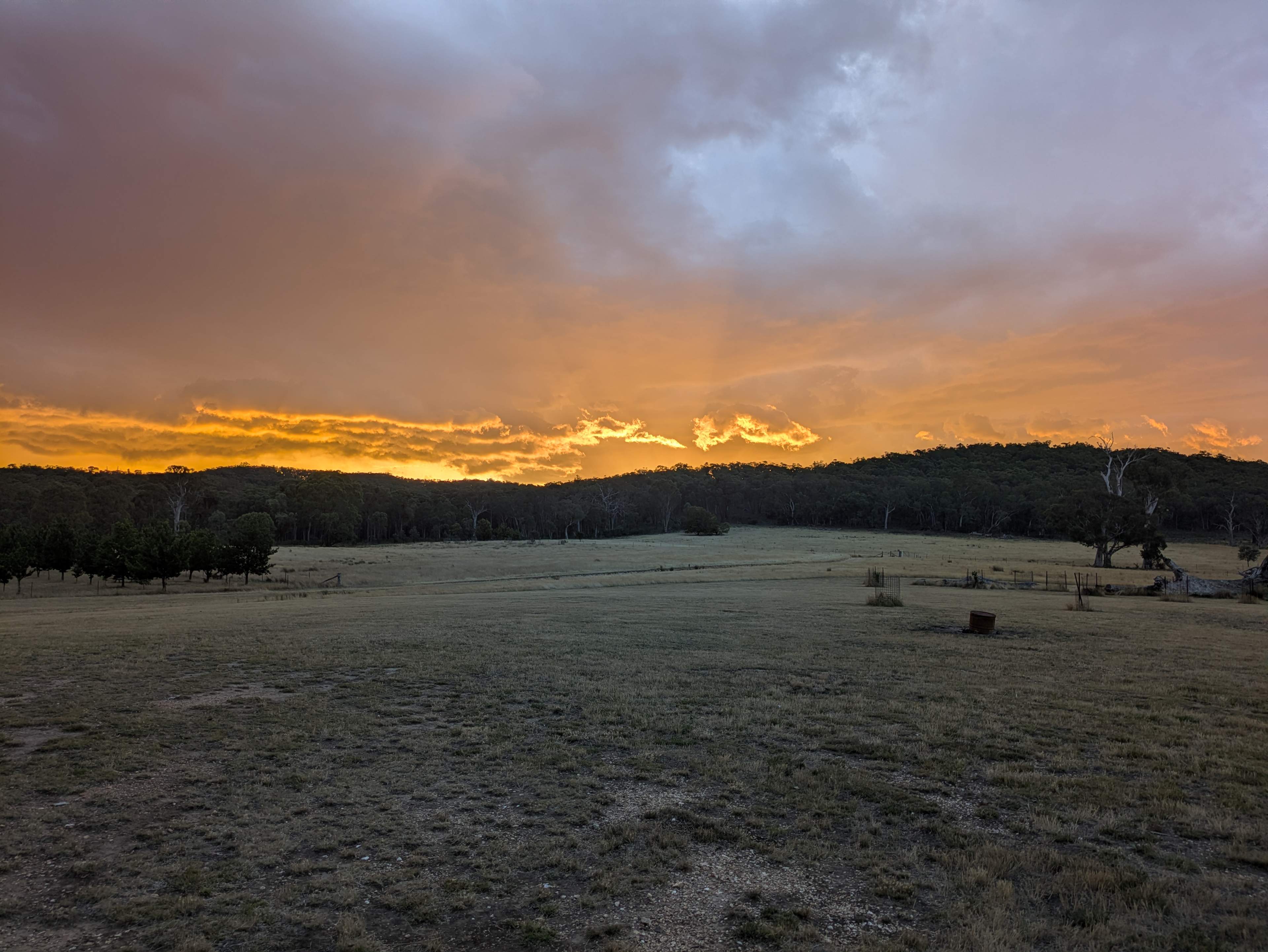 Country Journey, Boxgrove farm