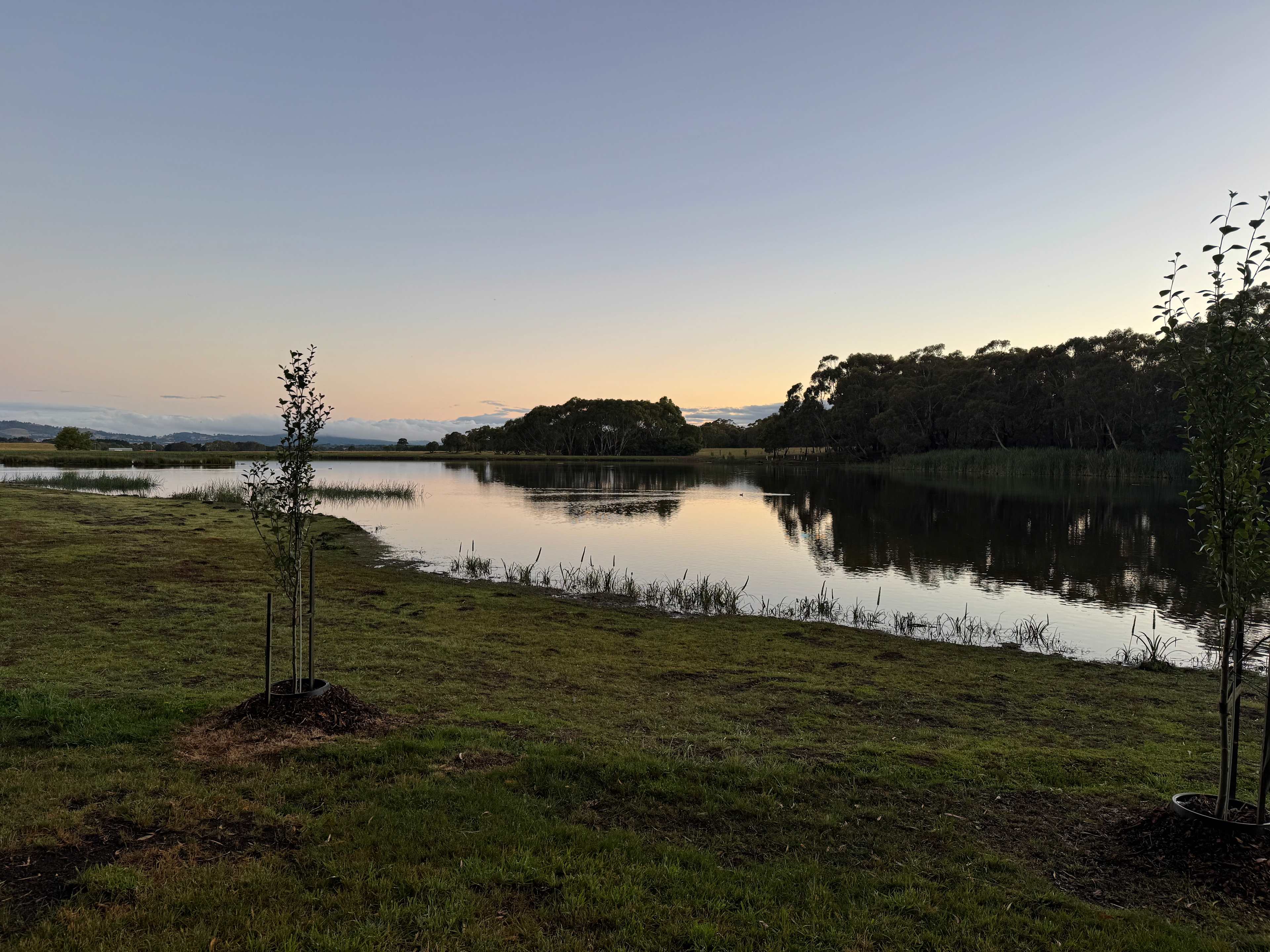Lancefield Lake's A WETLANDS WONDER