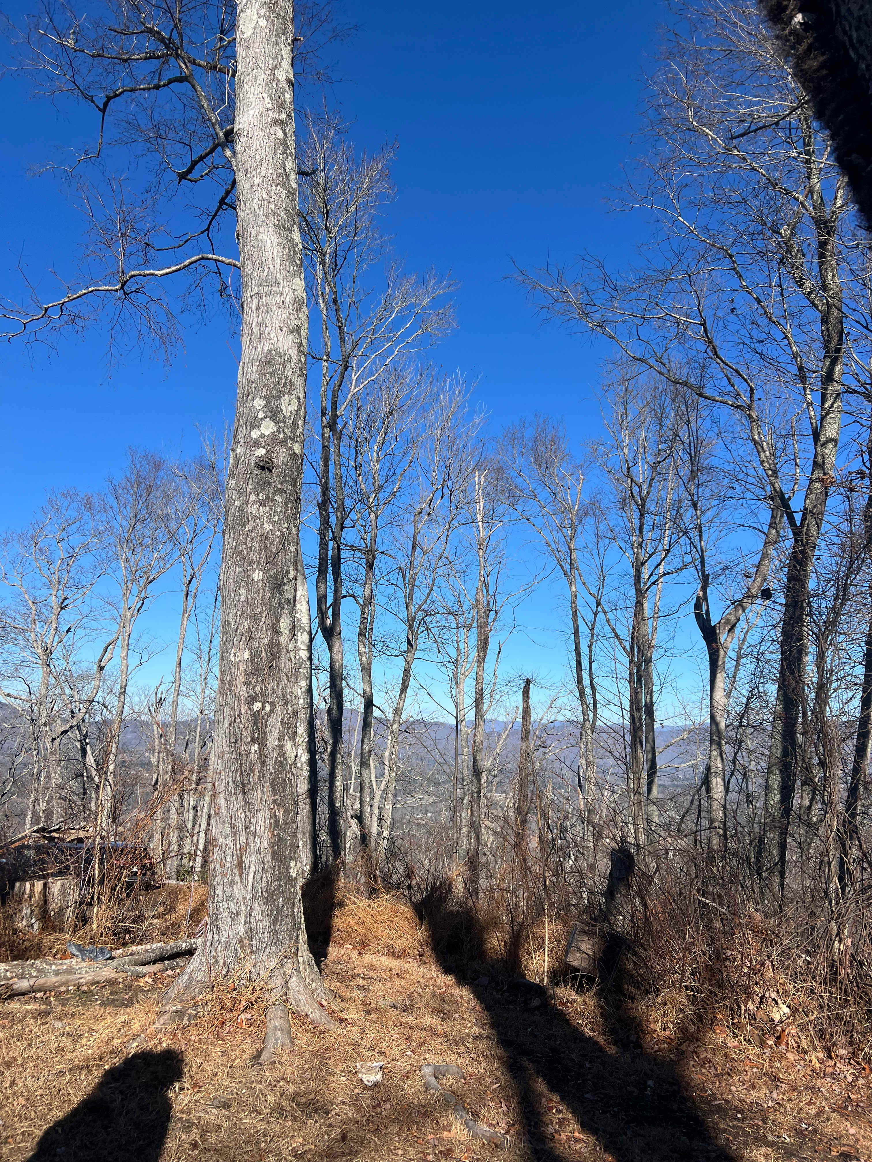Barnhill Mountain in Fletcher, NC
