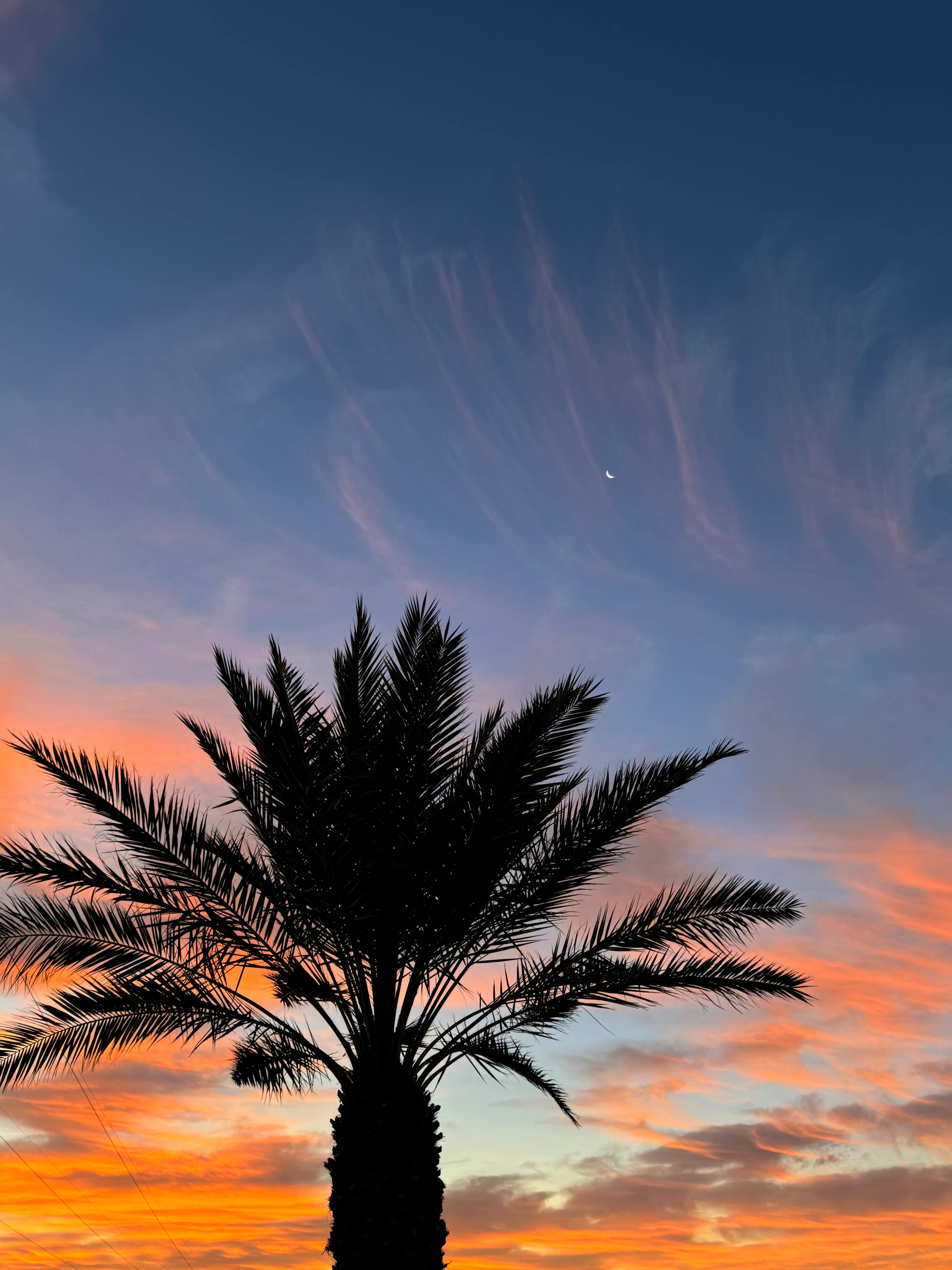 Private Hot Springs & Organic Farm