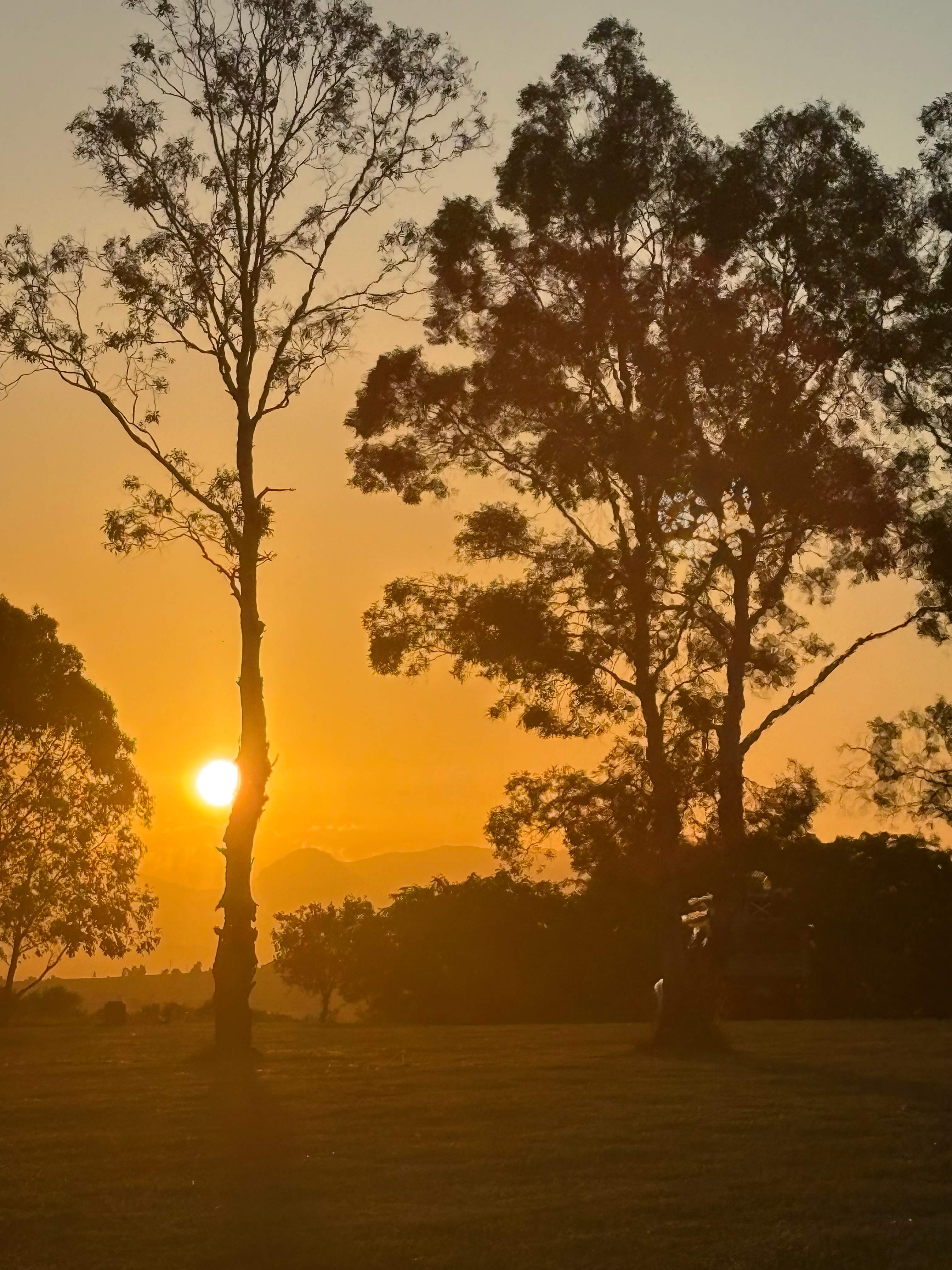 Olive View Estate - Stunning Views!