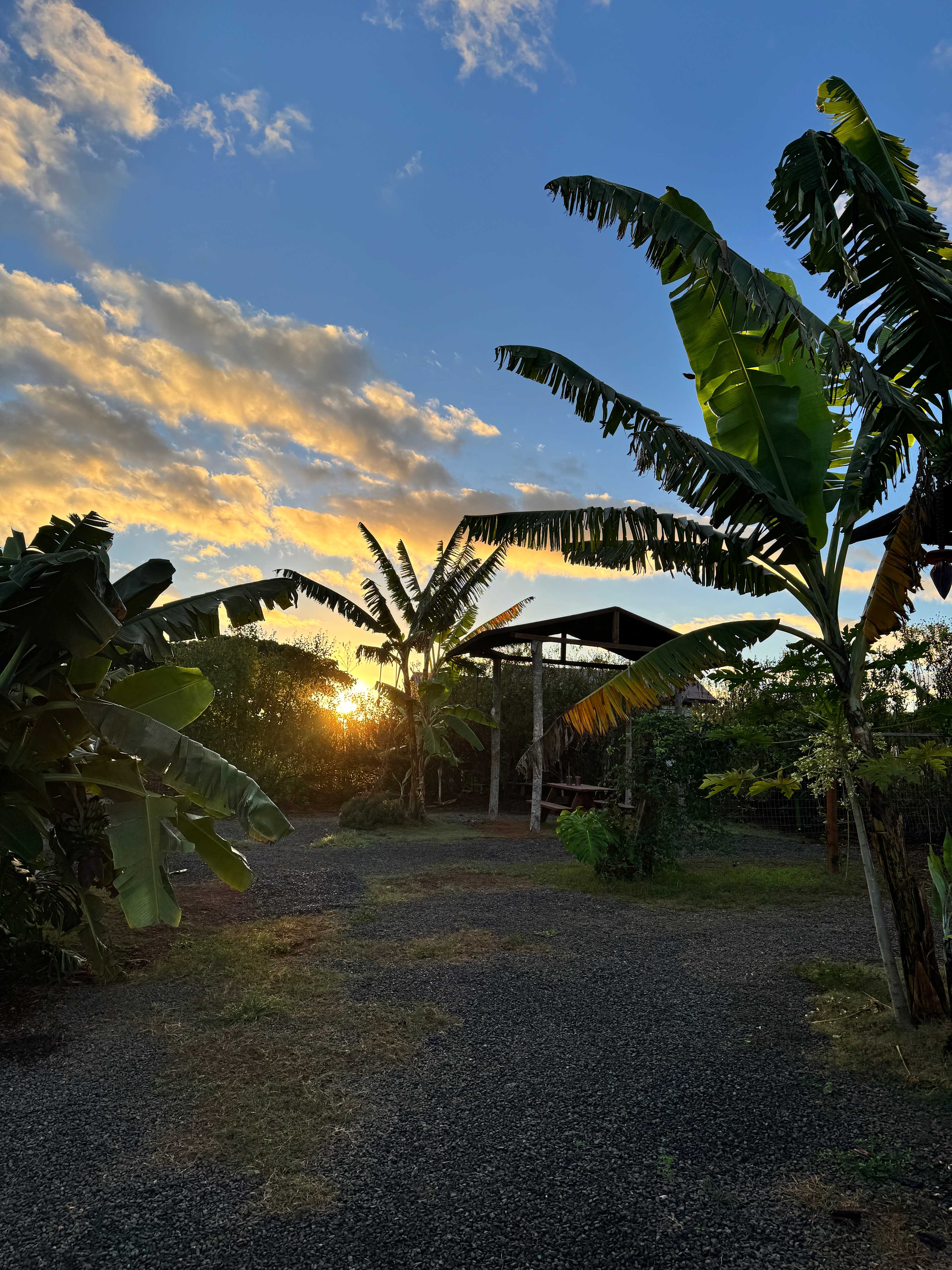 Living Circle Farms Hawaii
