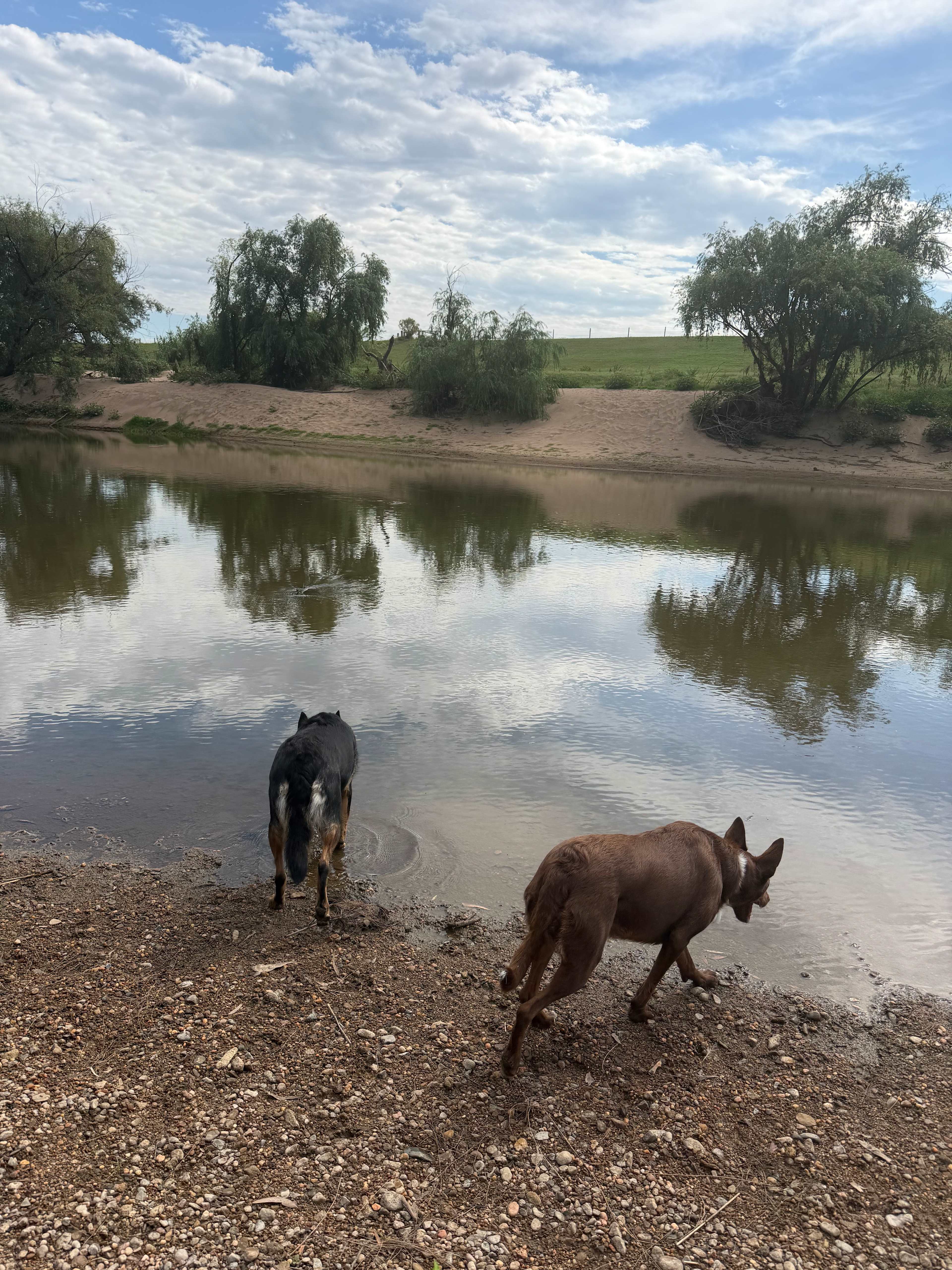 Hunter River Bush Camp