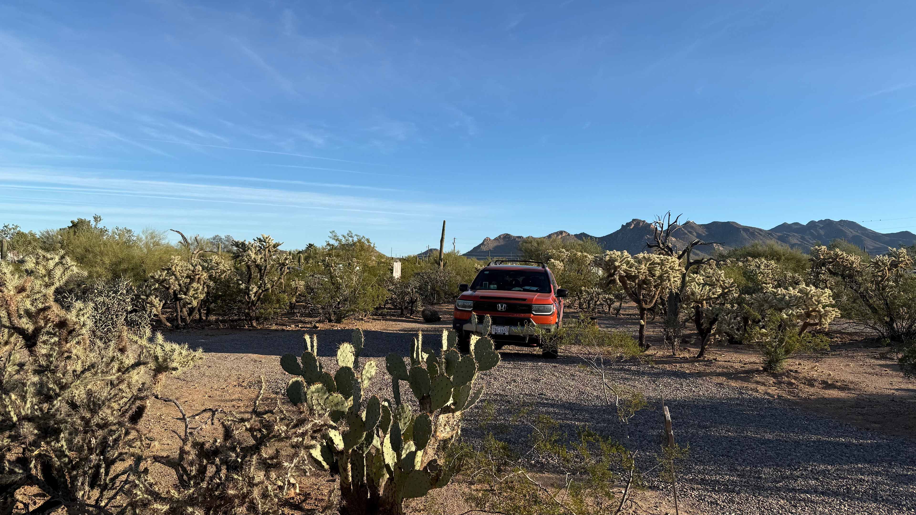 Camp Saguaro