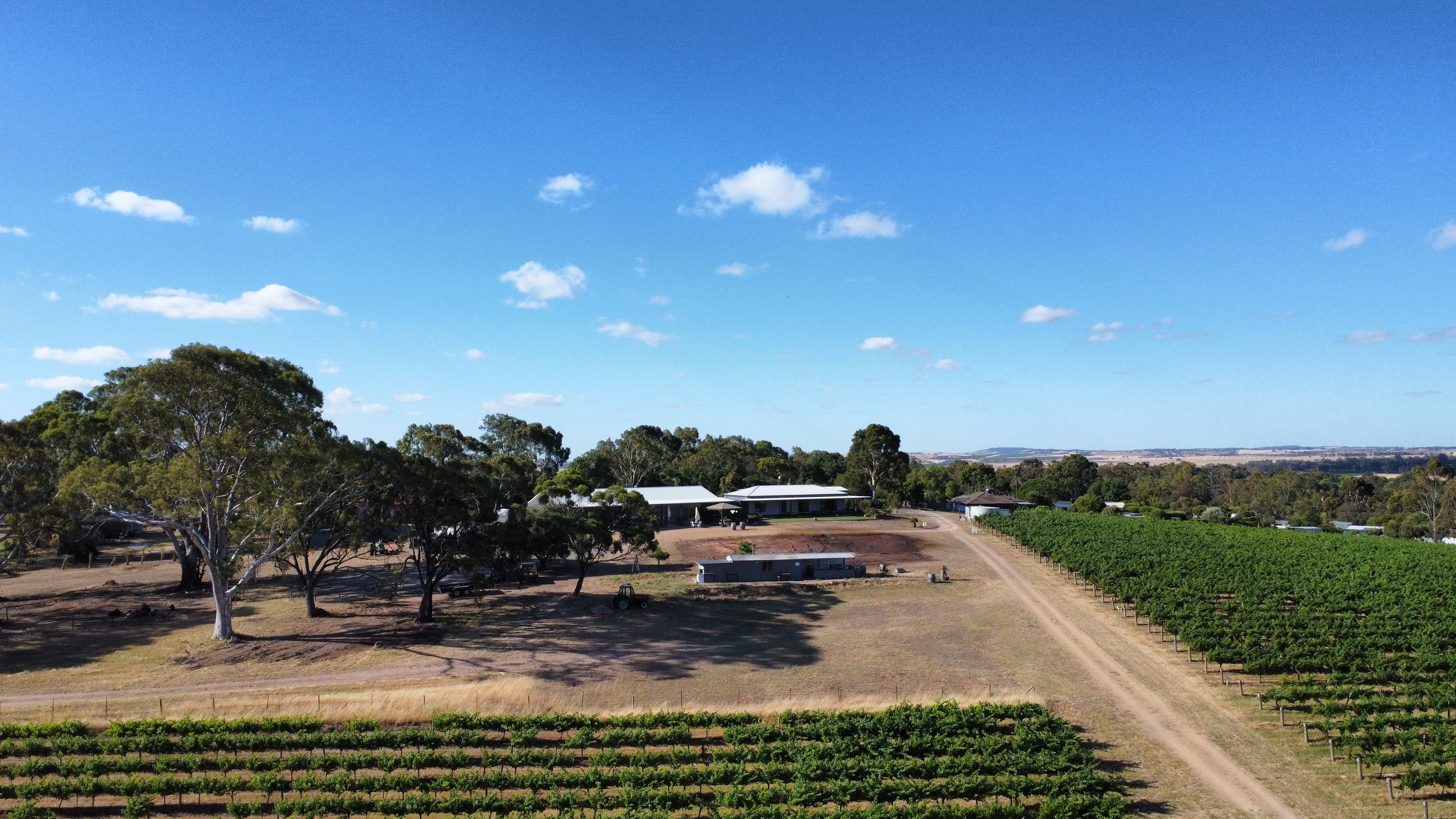Above our camp looking towards cellar door