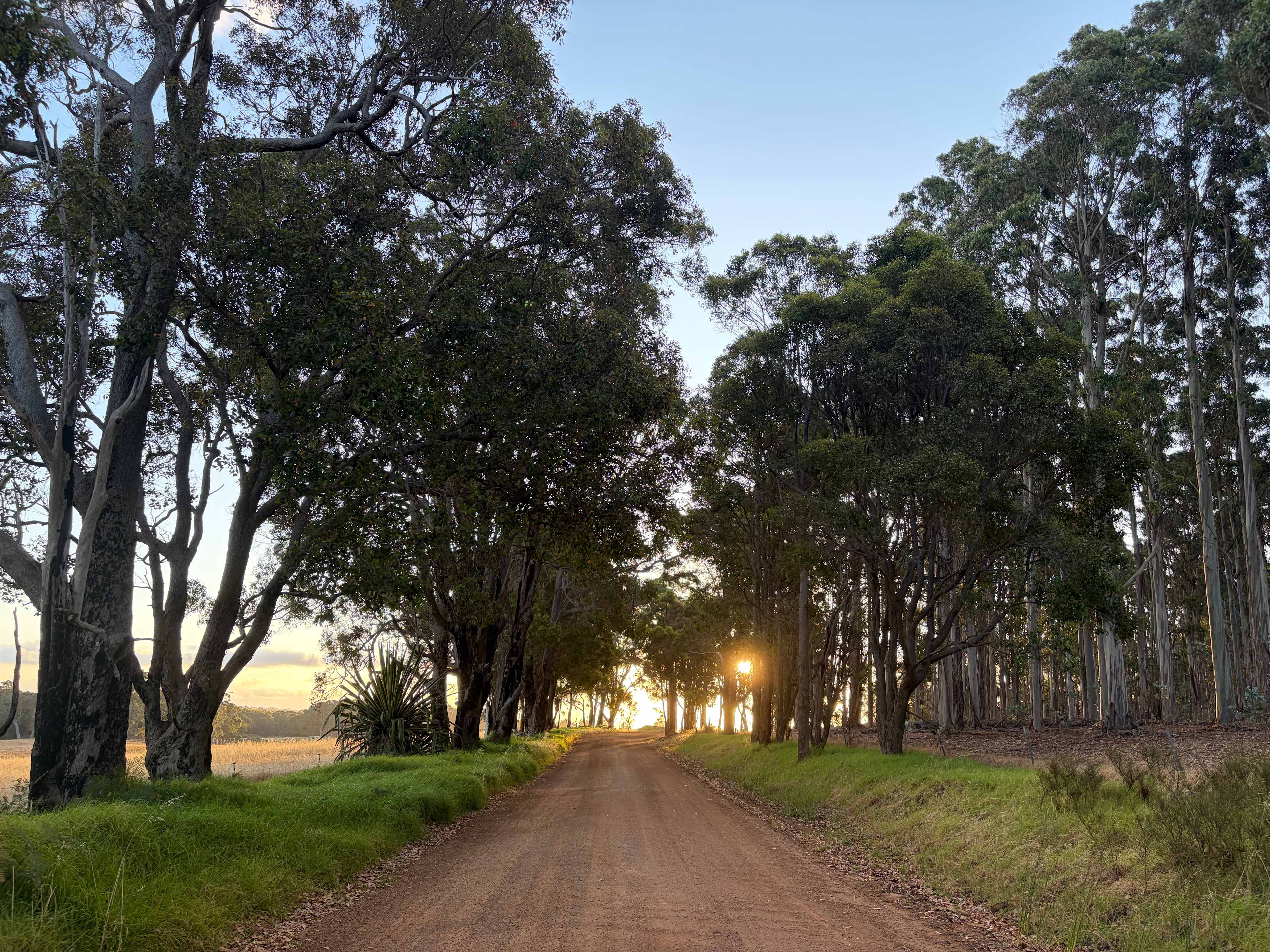 Olive Hill Farm RV Campground Margaret River