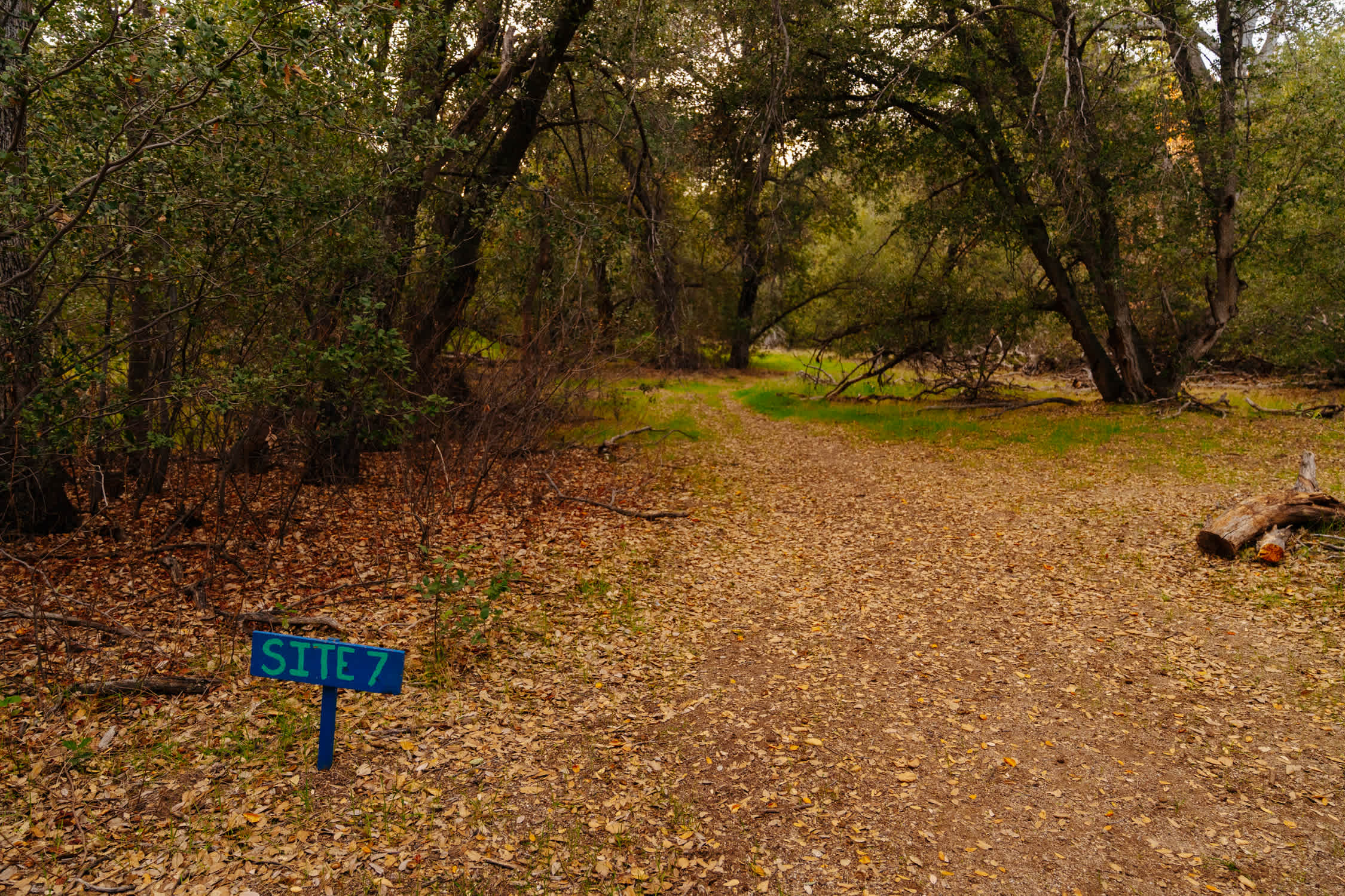 Loomerland Ranch and Retreat