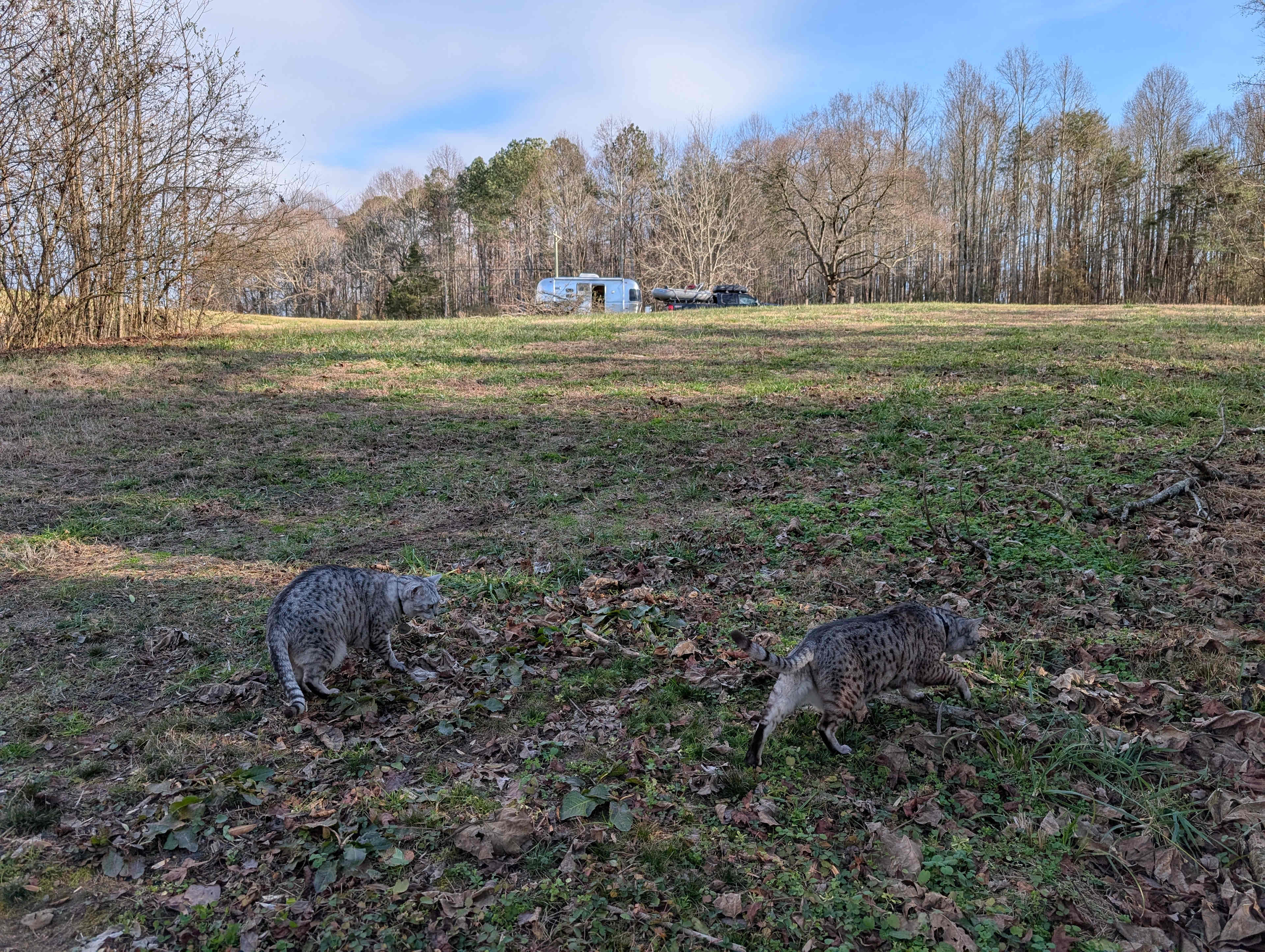 Mountain Adventure Outfitters