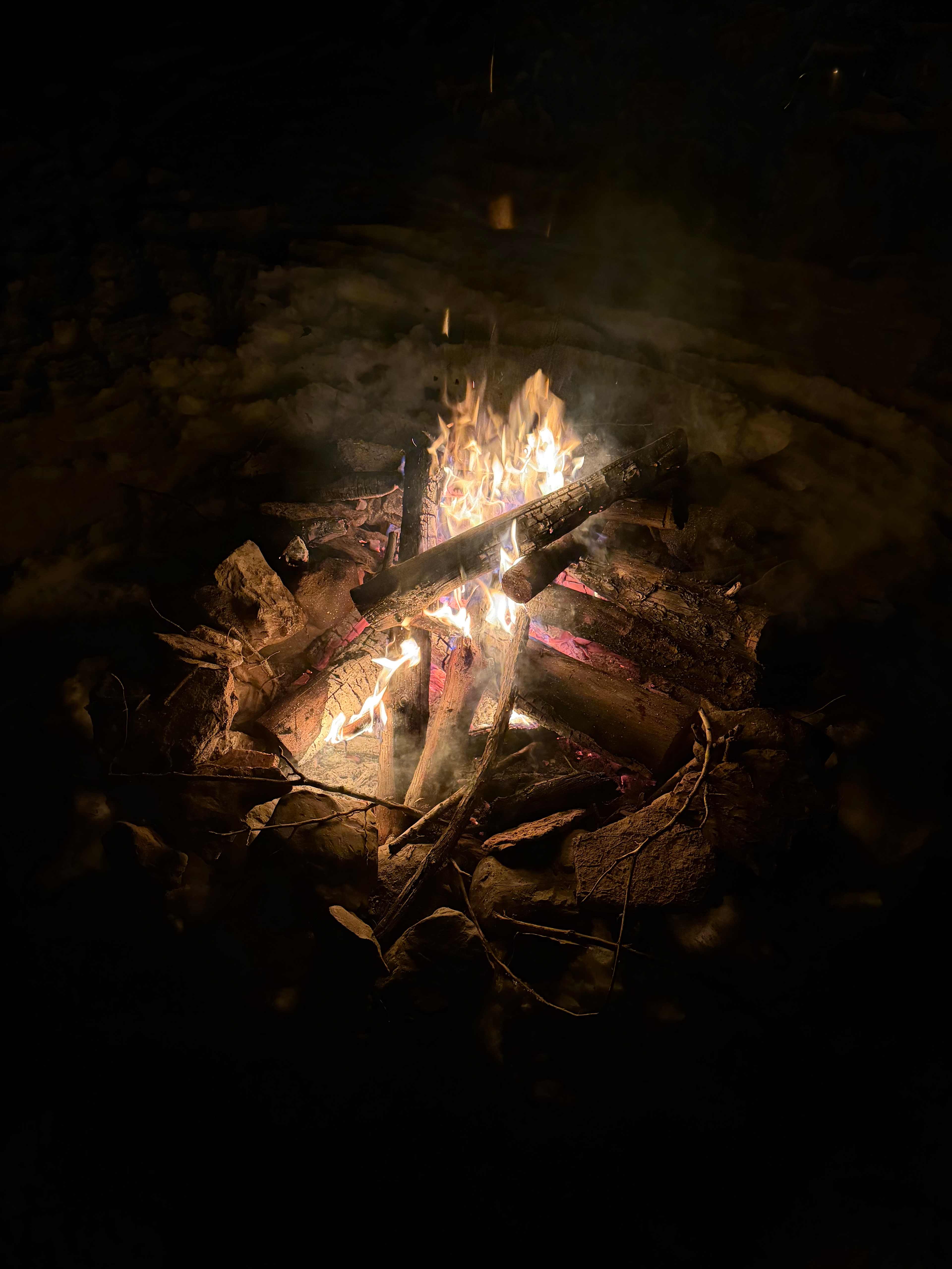 103 Acre Marlborough Forest