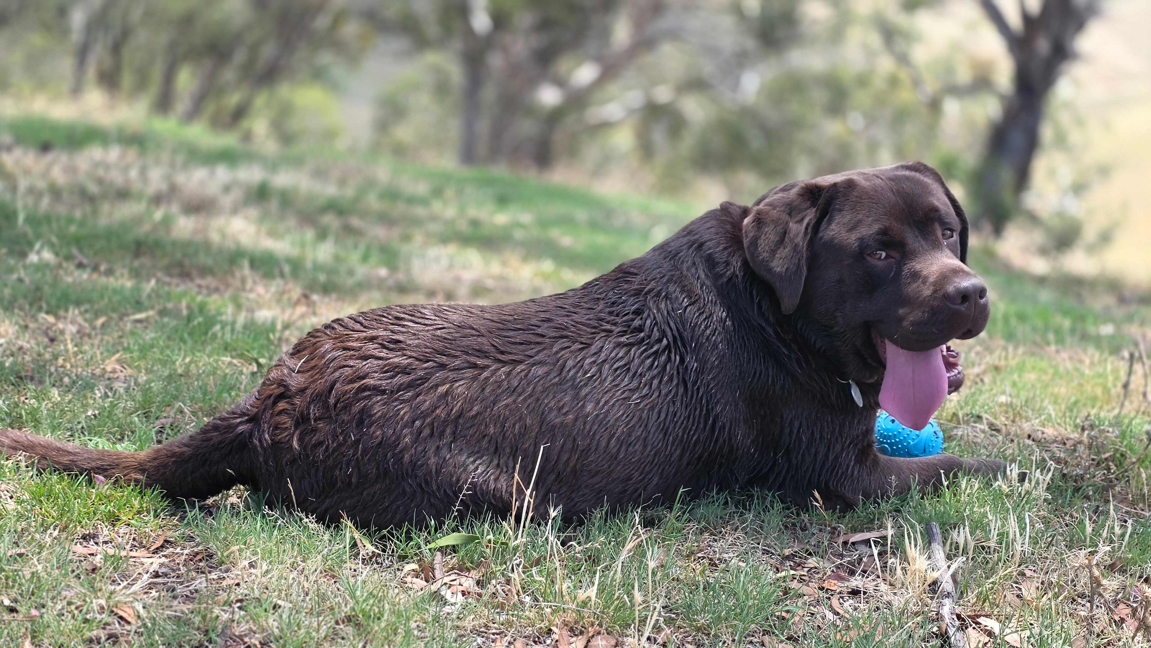 Farm Stay "Como Valley"@ Ben Bullen
