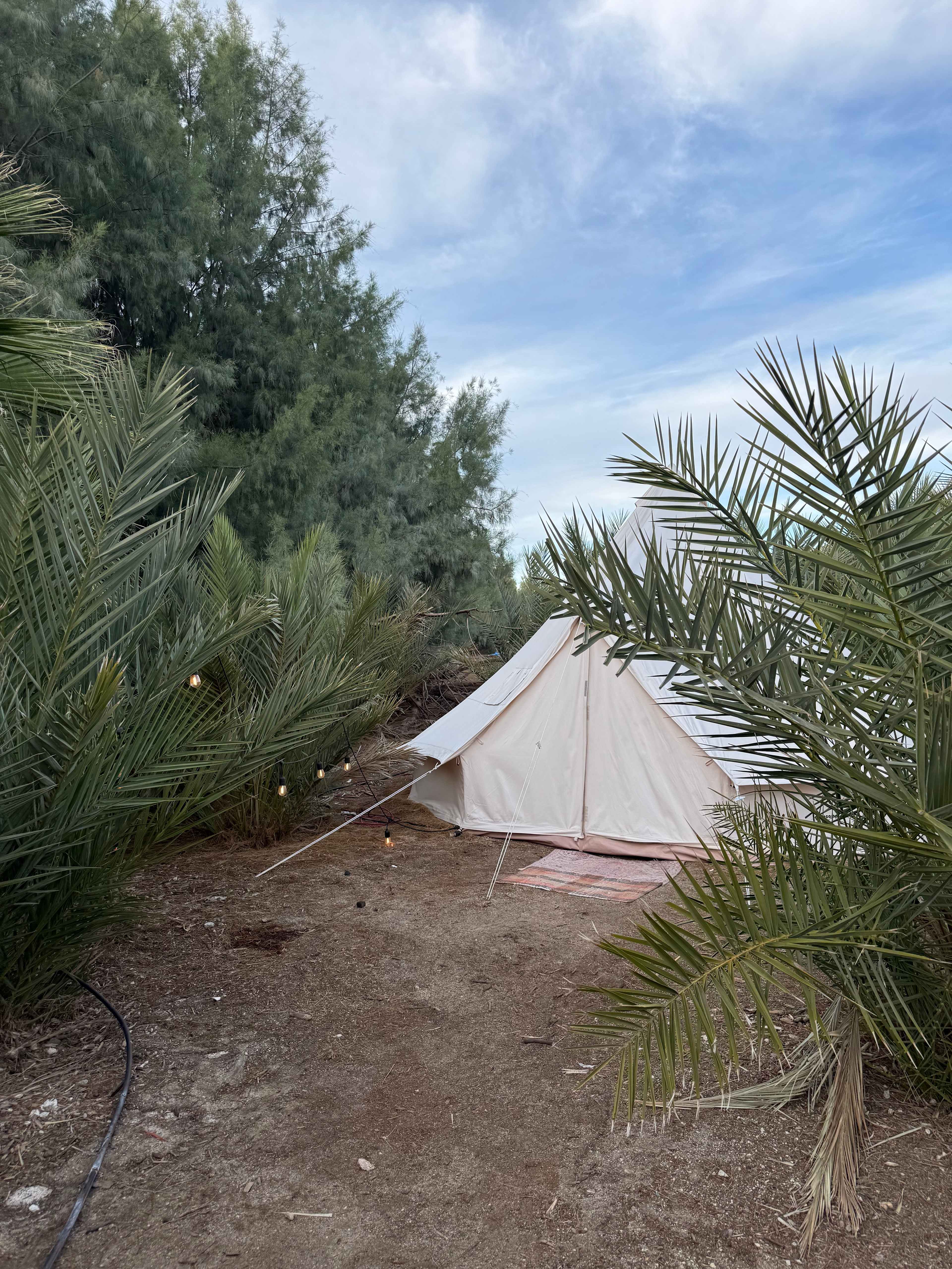 Mineral Spring Date Farm