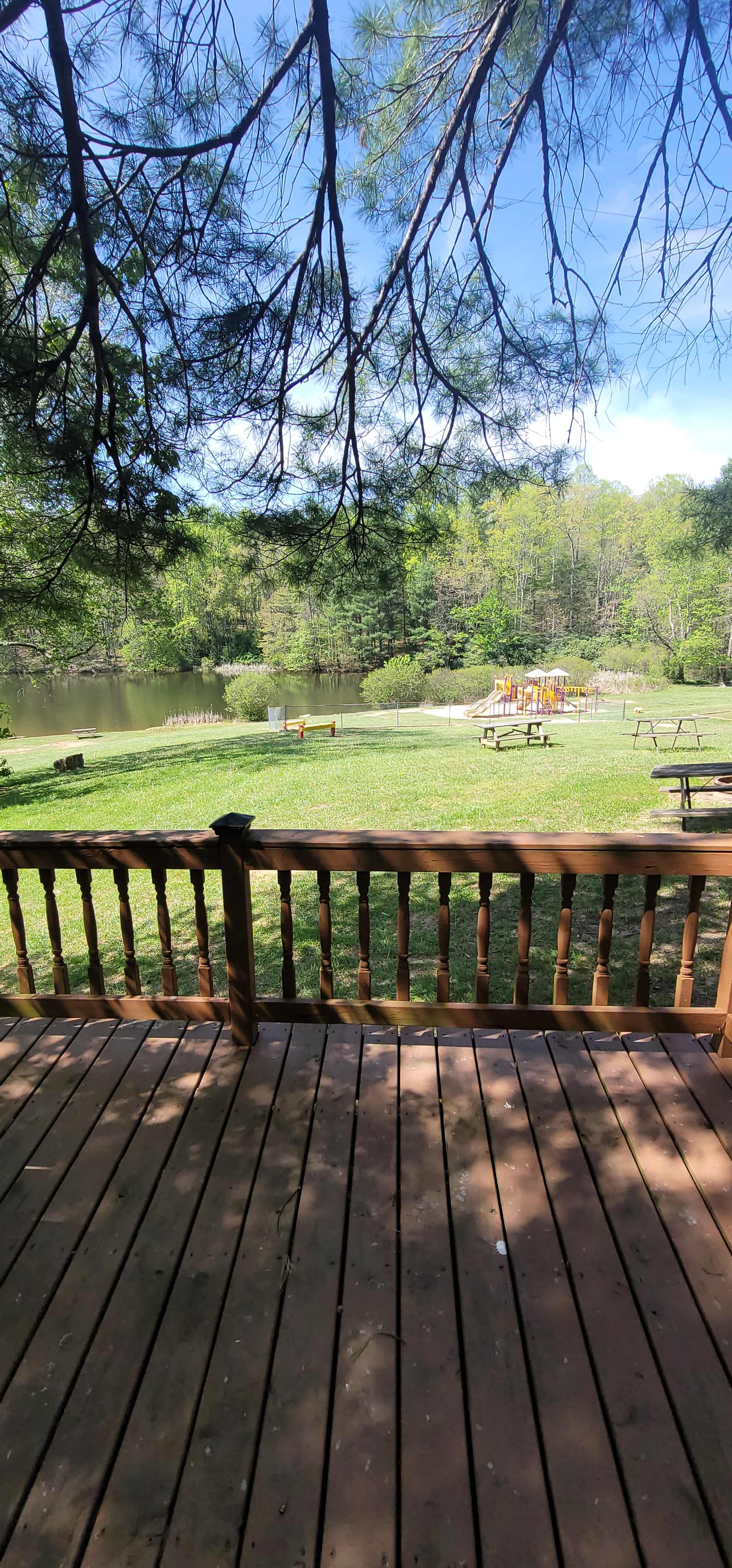 Picture of the site