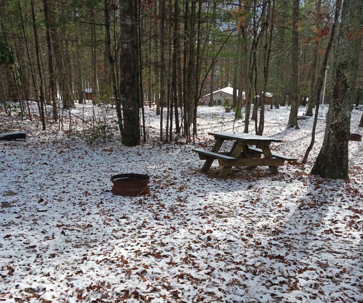 Picture of the site
