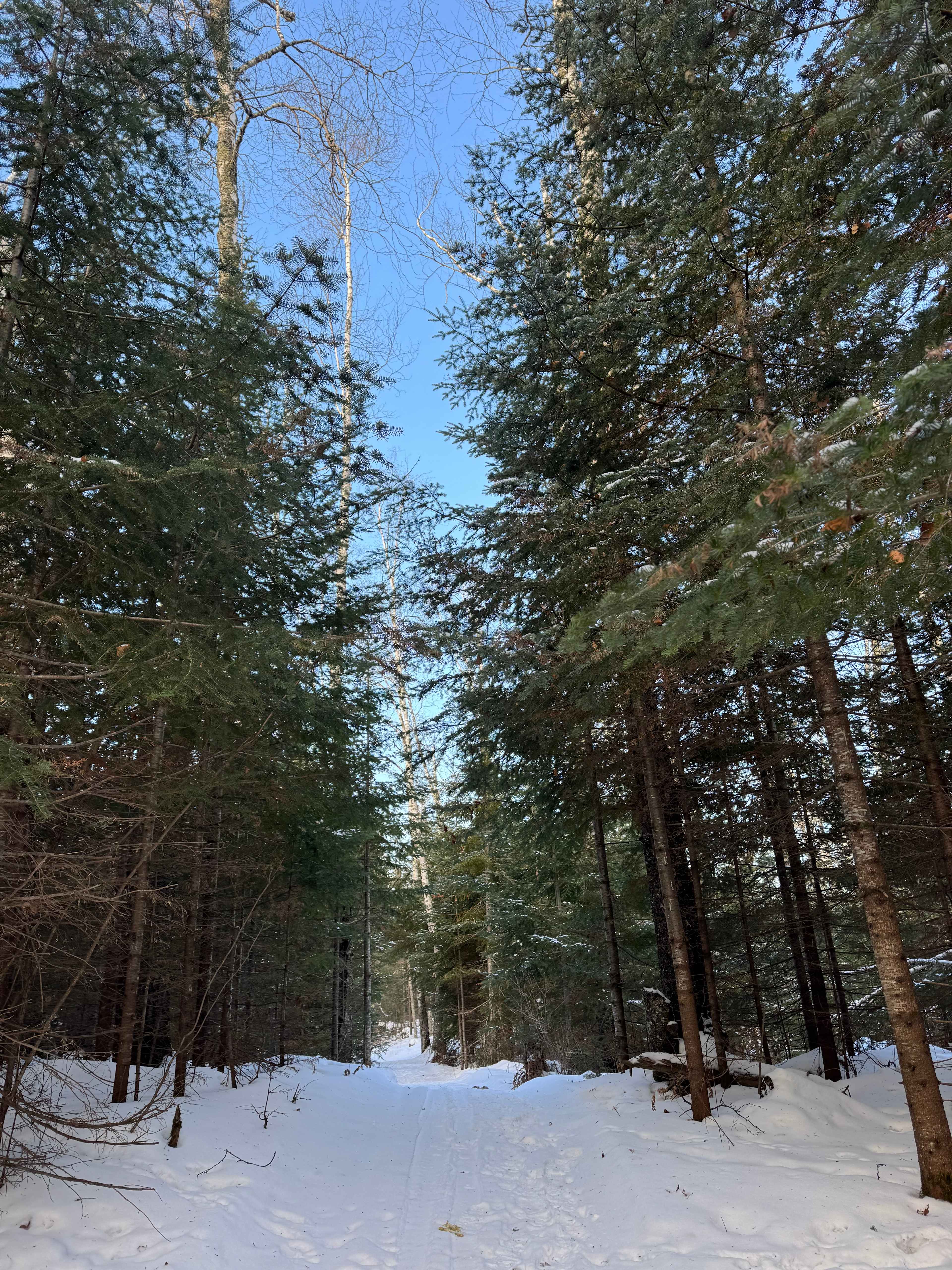 Balsam Ridge Retreat