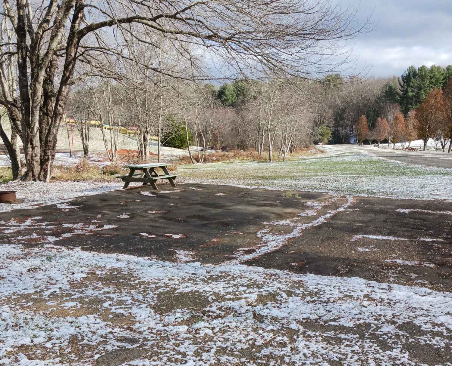 Picture of the site