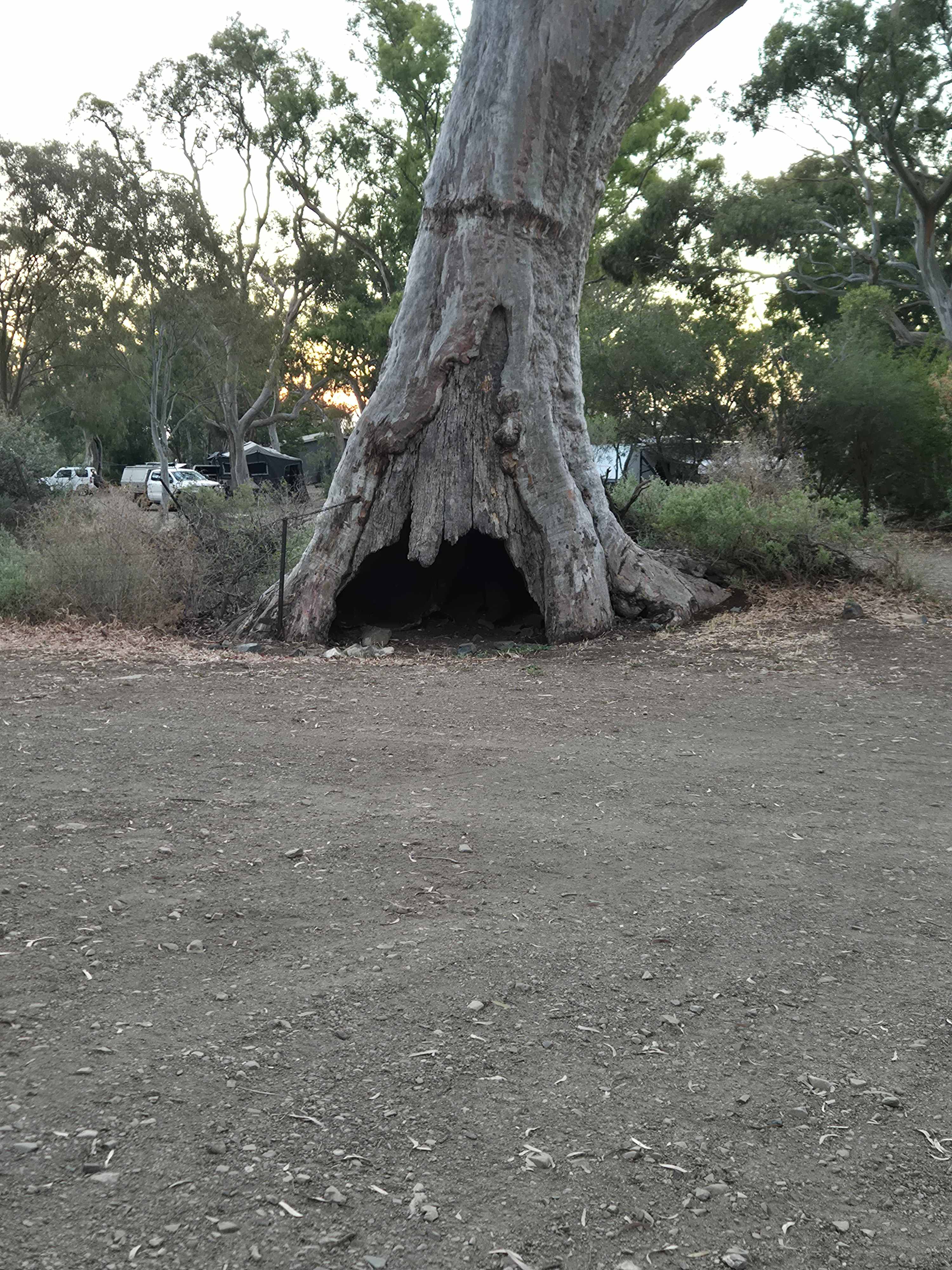 Spear Creek Holiday Park