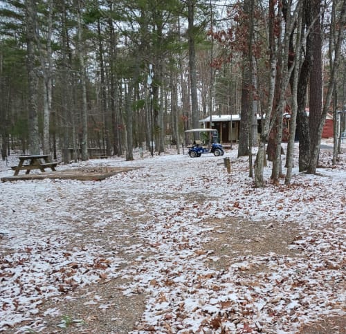Picture of the site