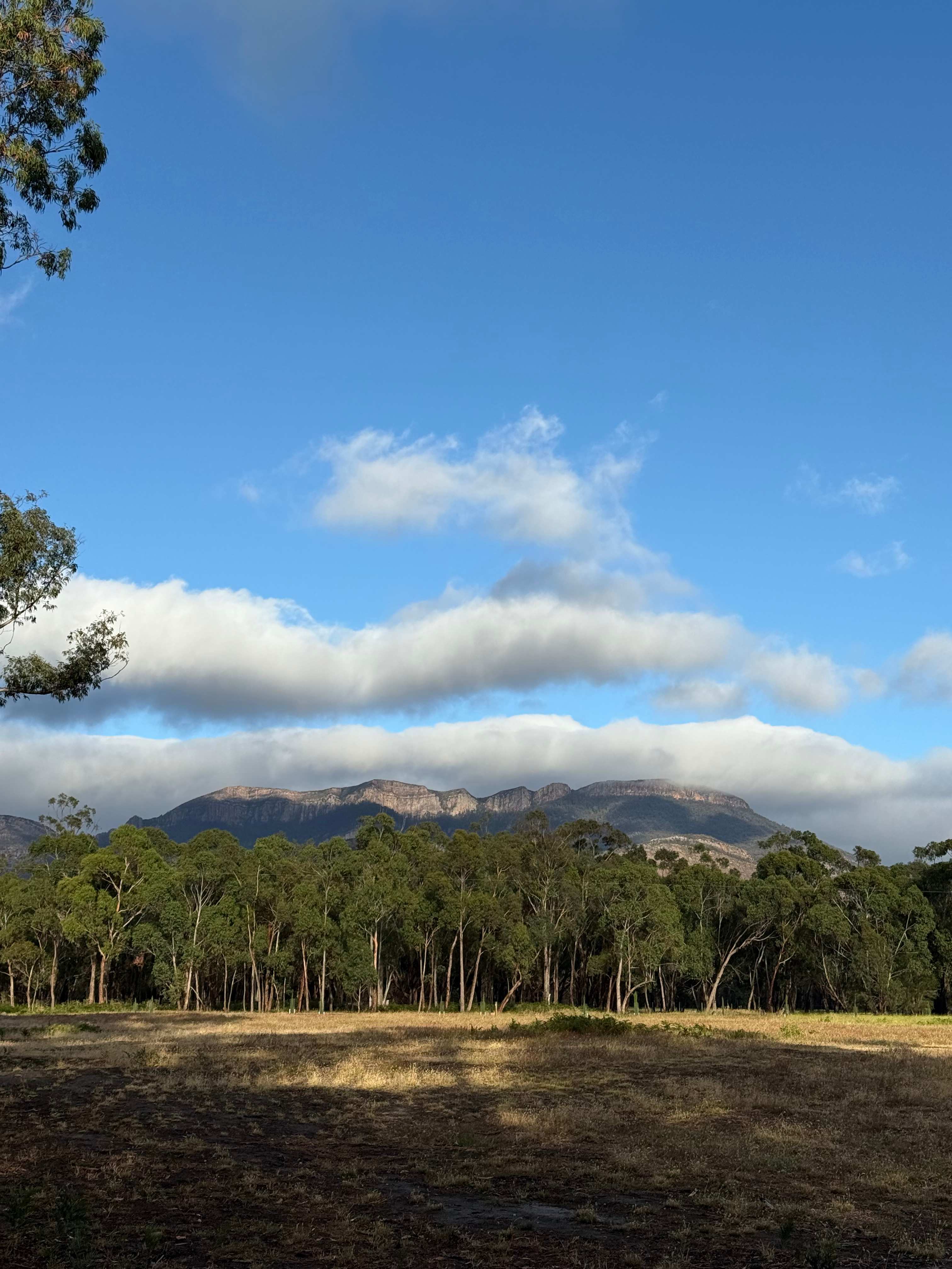 Grampians Park Station -Grand Views