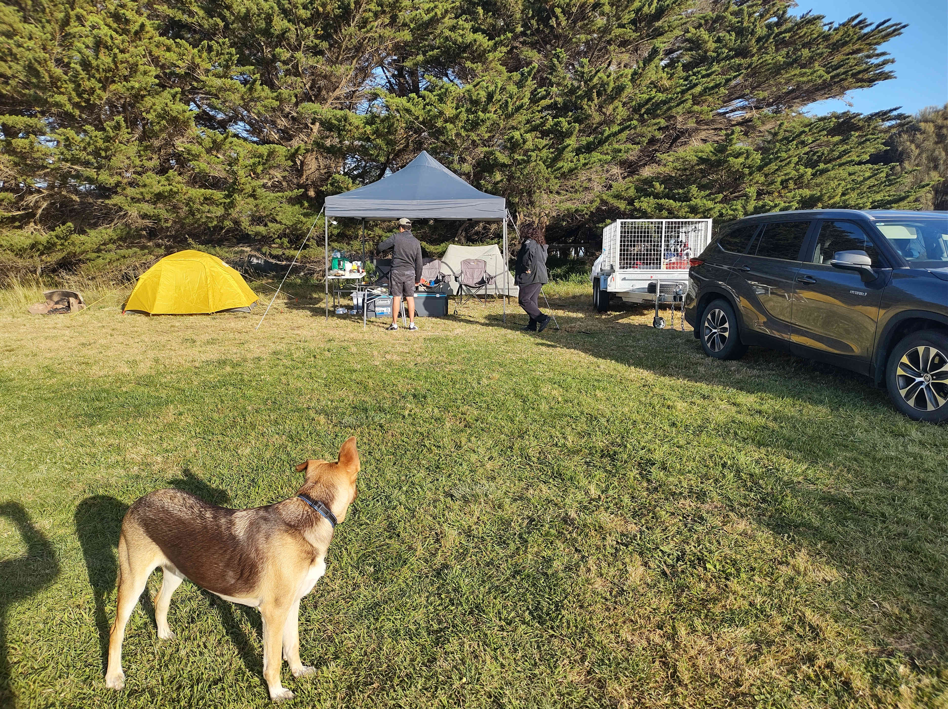 Berry's Beach Farm, Phillip Island
