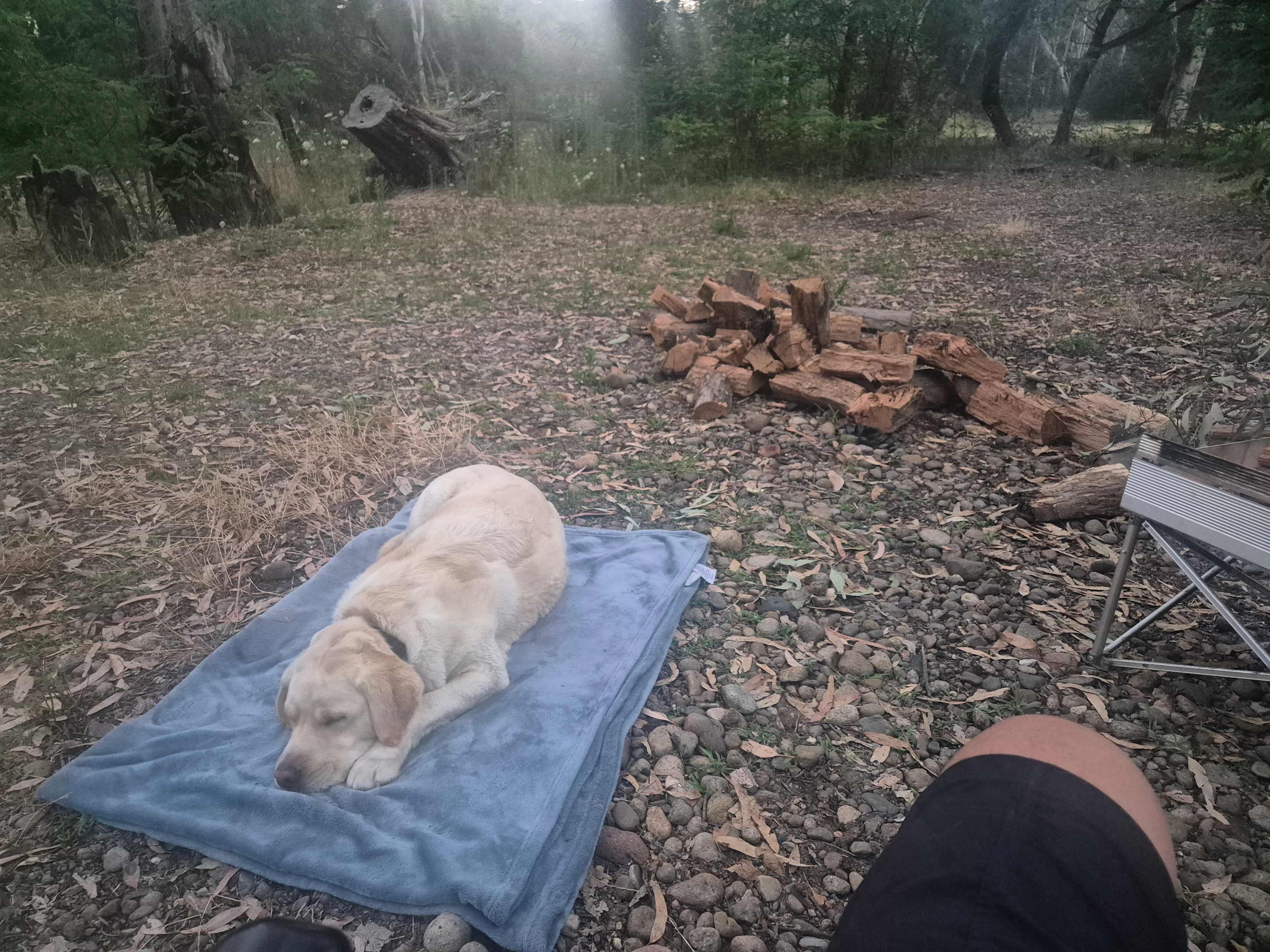 Riverside King Valley