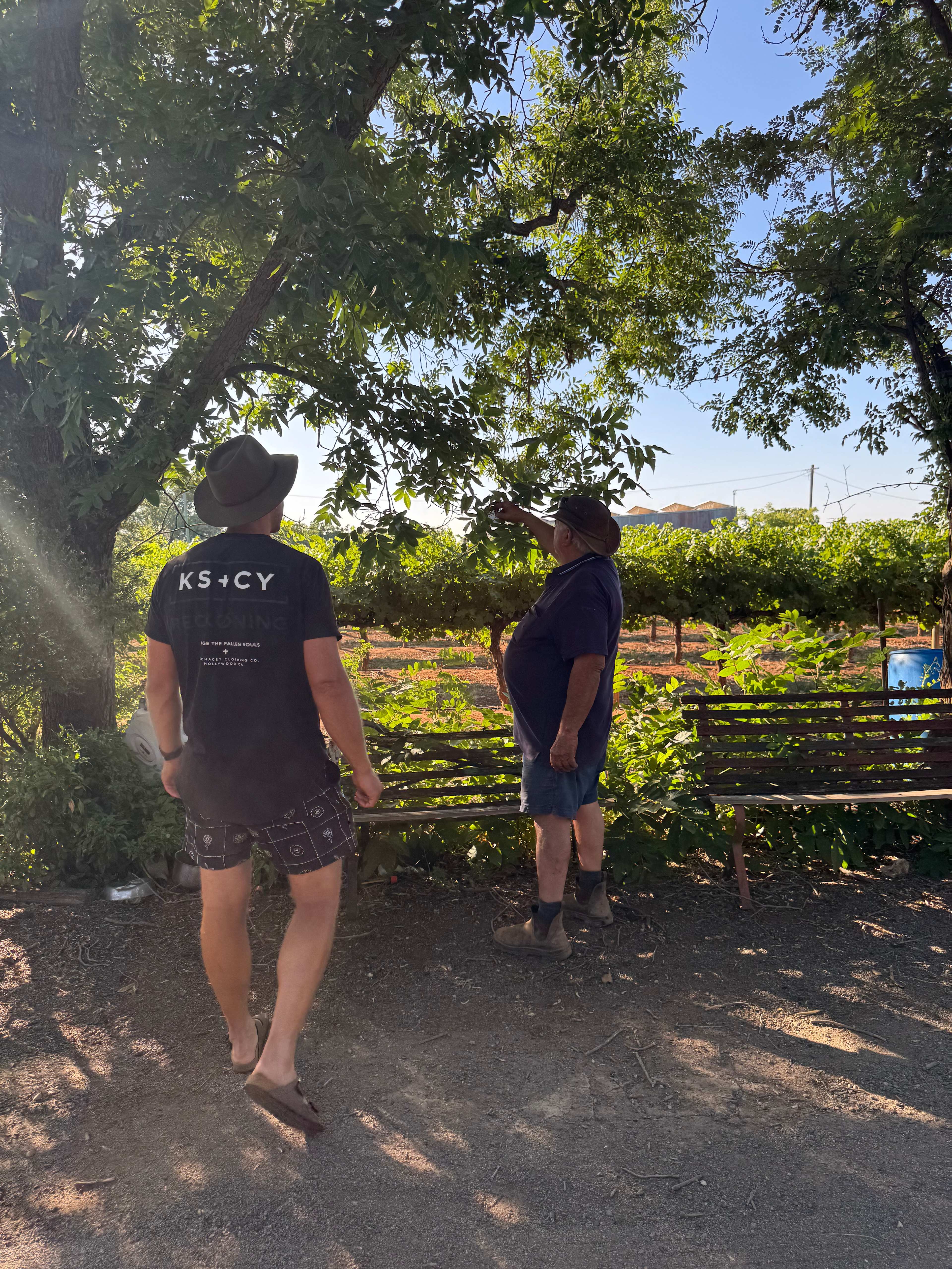 Catania Fruit Salad Farm