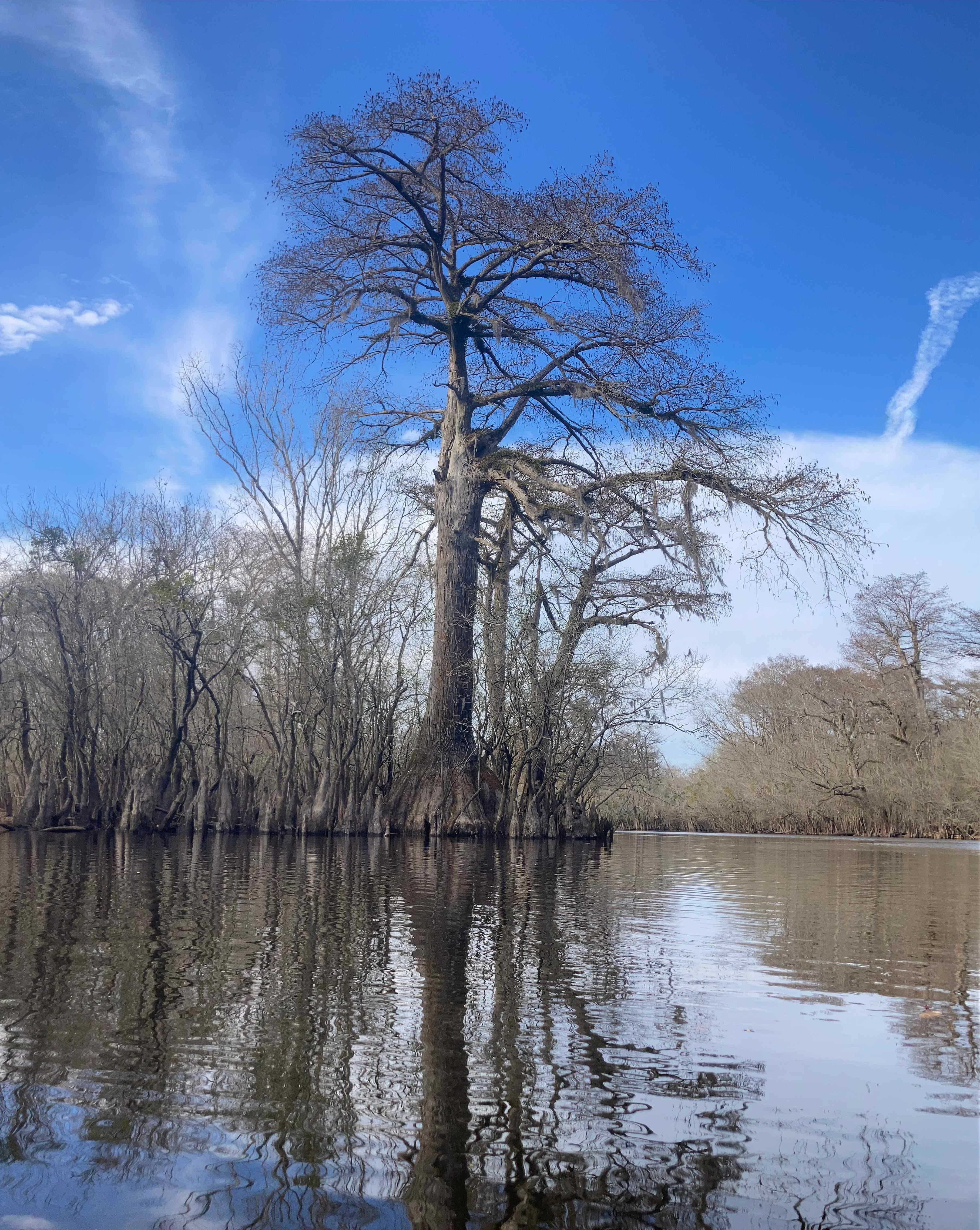 Paddling near my tent site:)