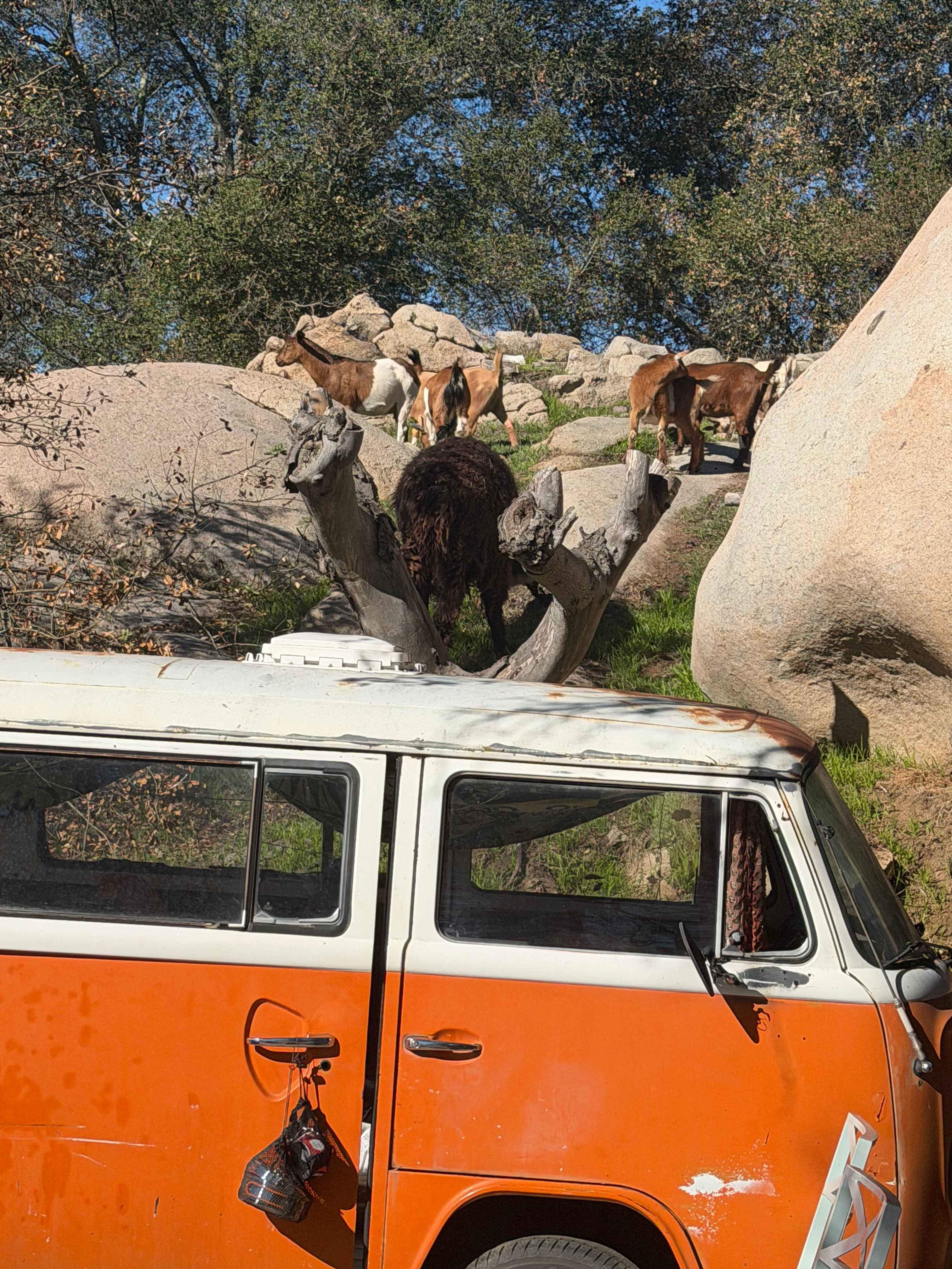 Splitrock Farm and Retreat