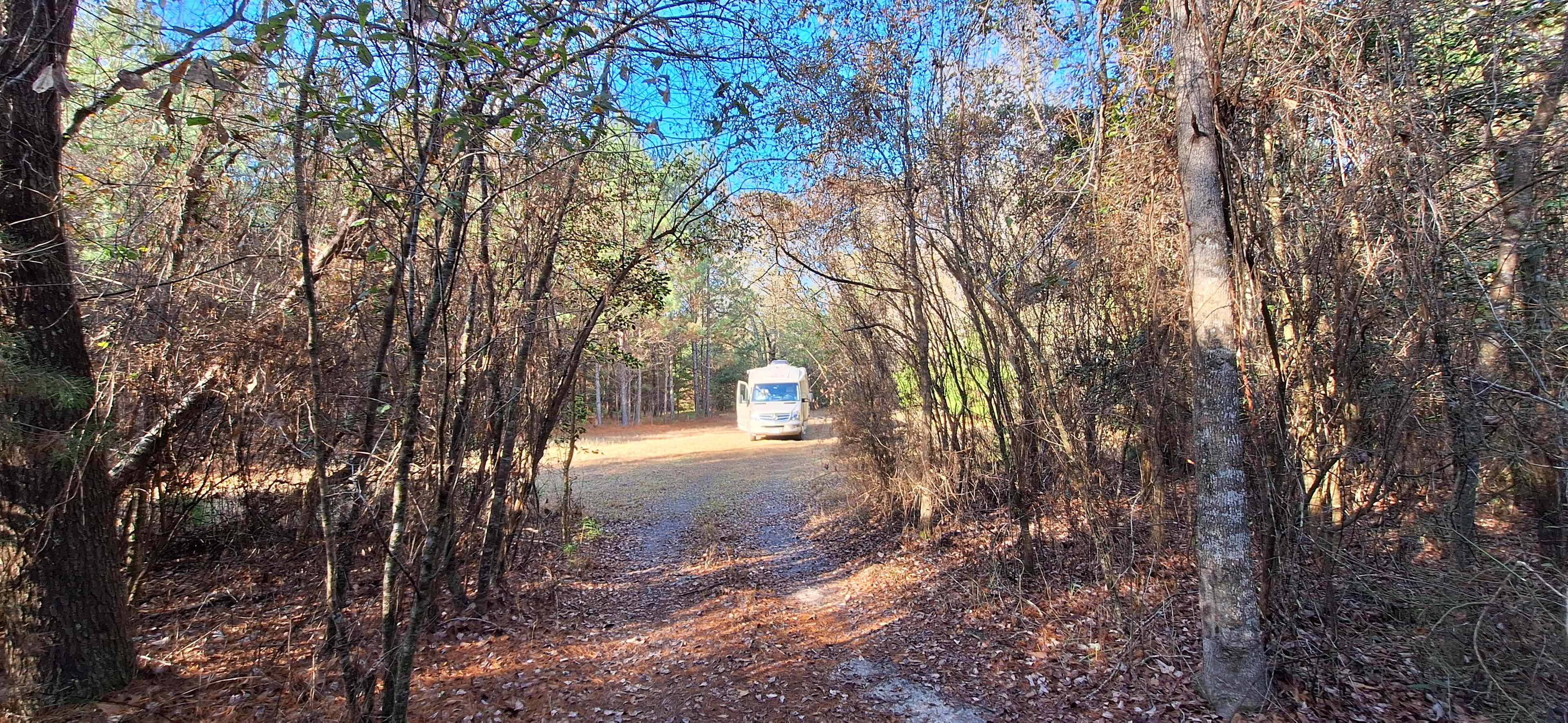 River Life Camping in Alabama