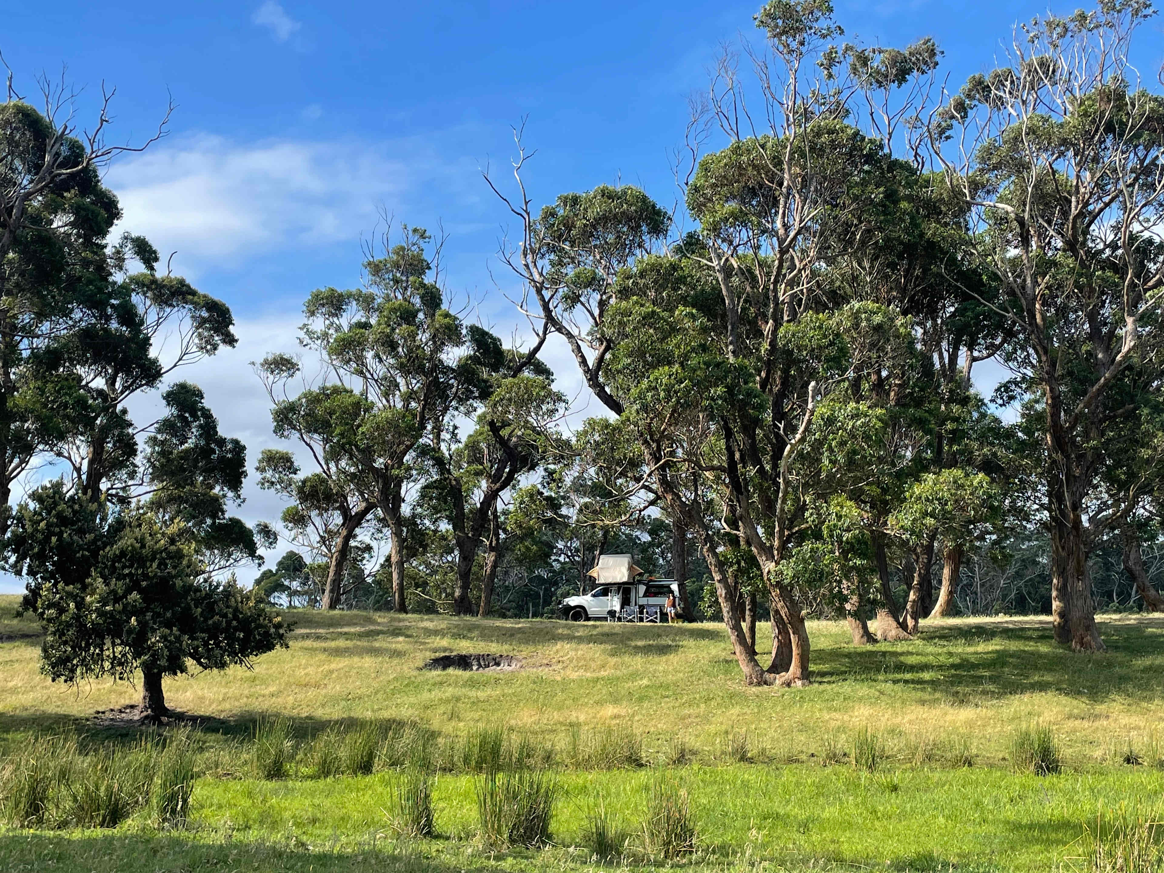 Ridge Park Cape Conran