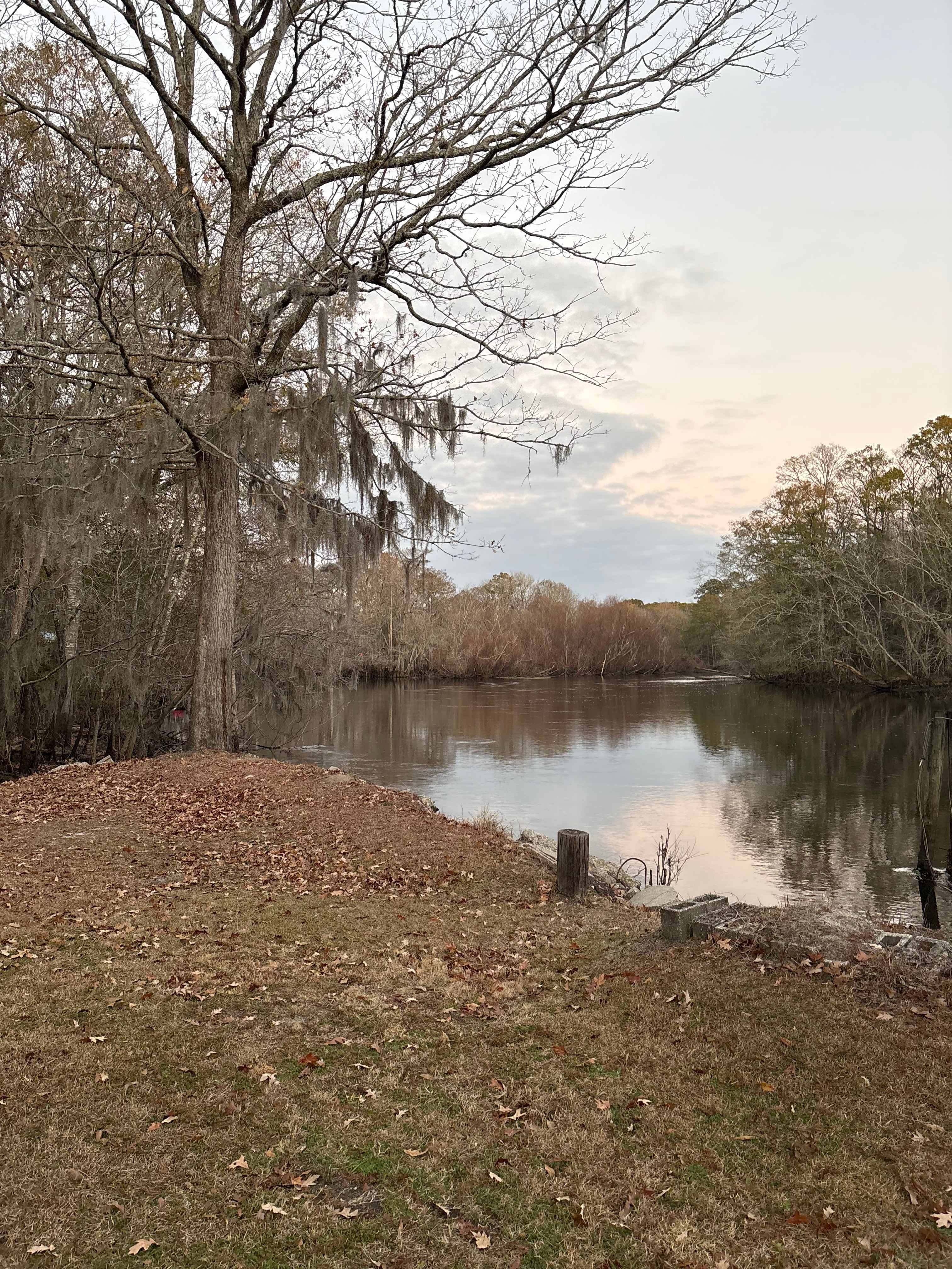 Edisto River Luxury RV Resort