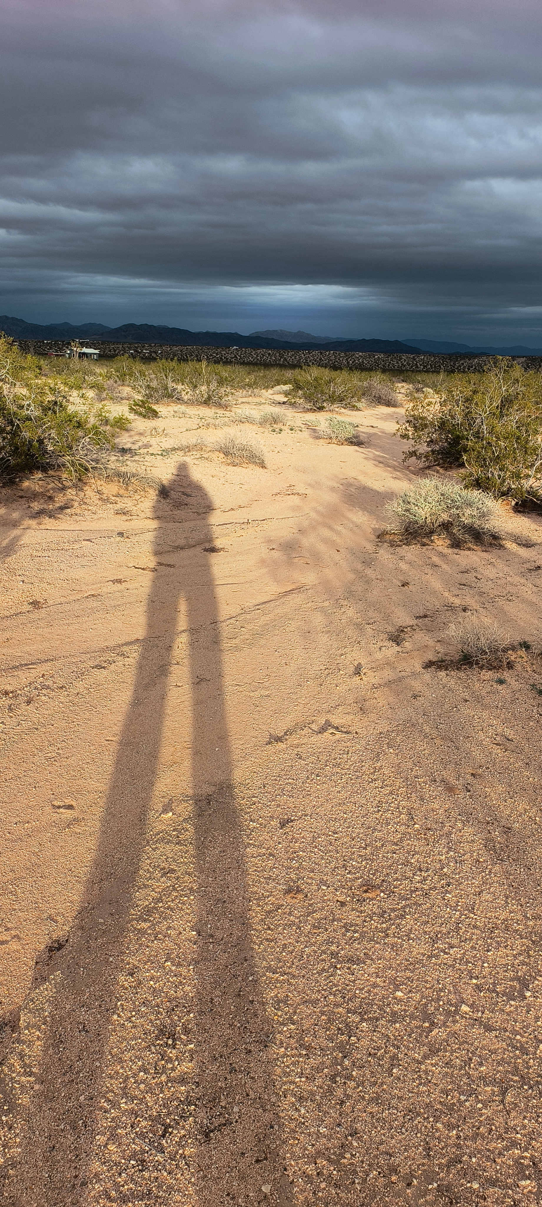 Cozy Retreat in Joshua Tree