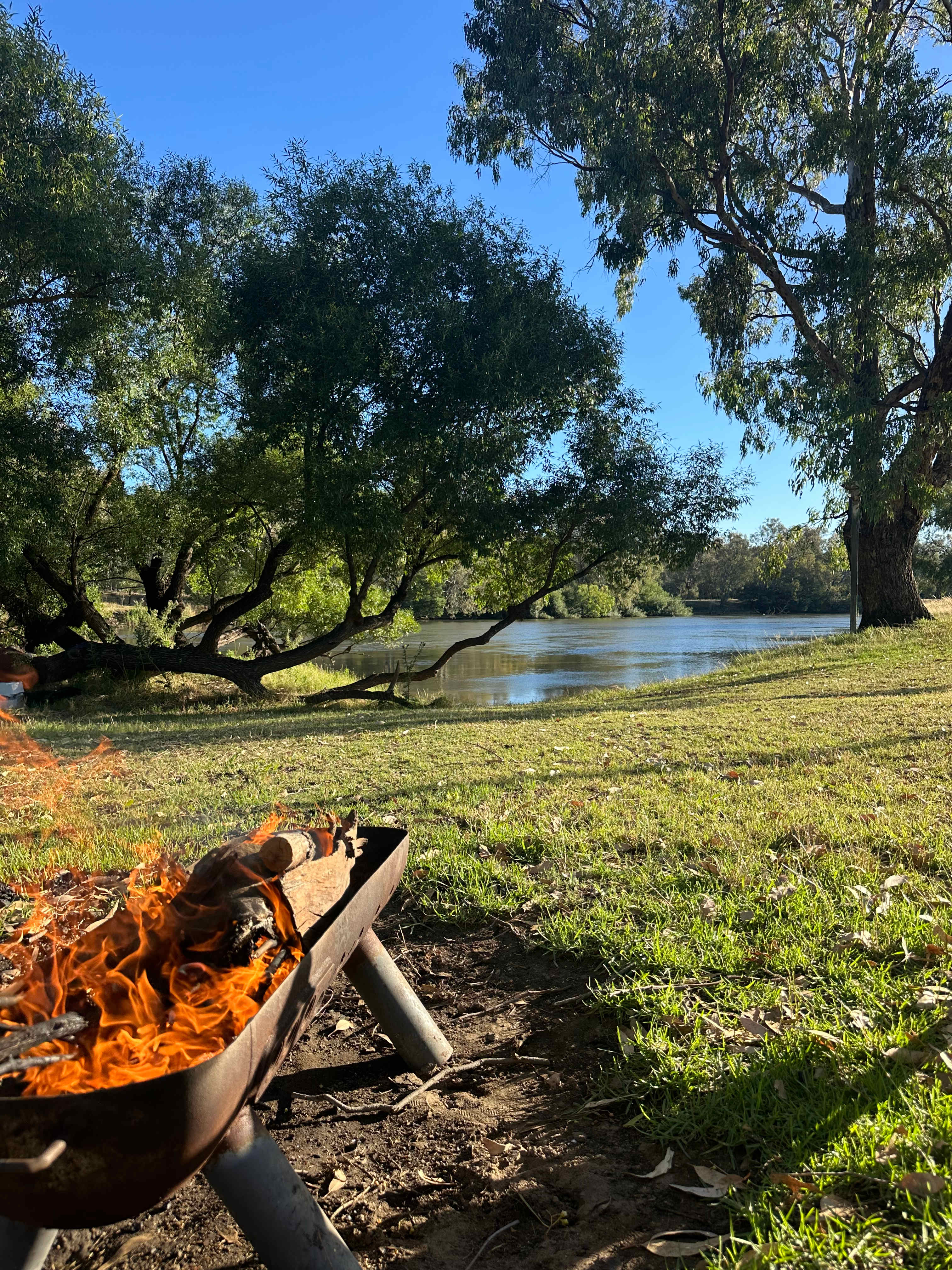 Willowbank on the Murray