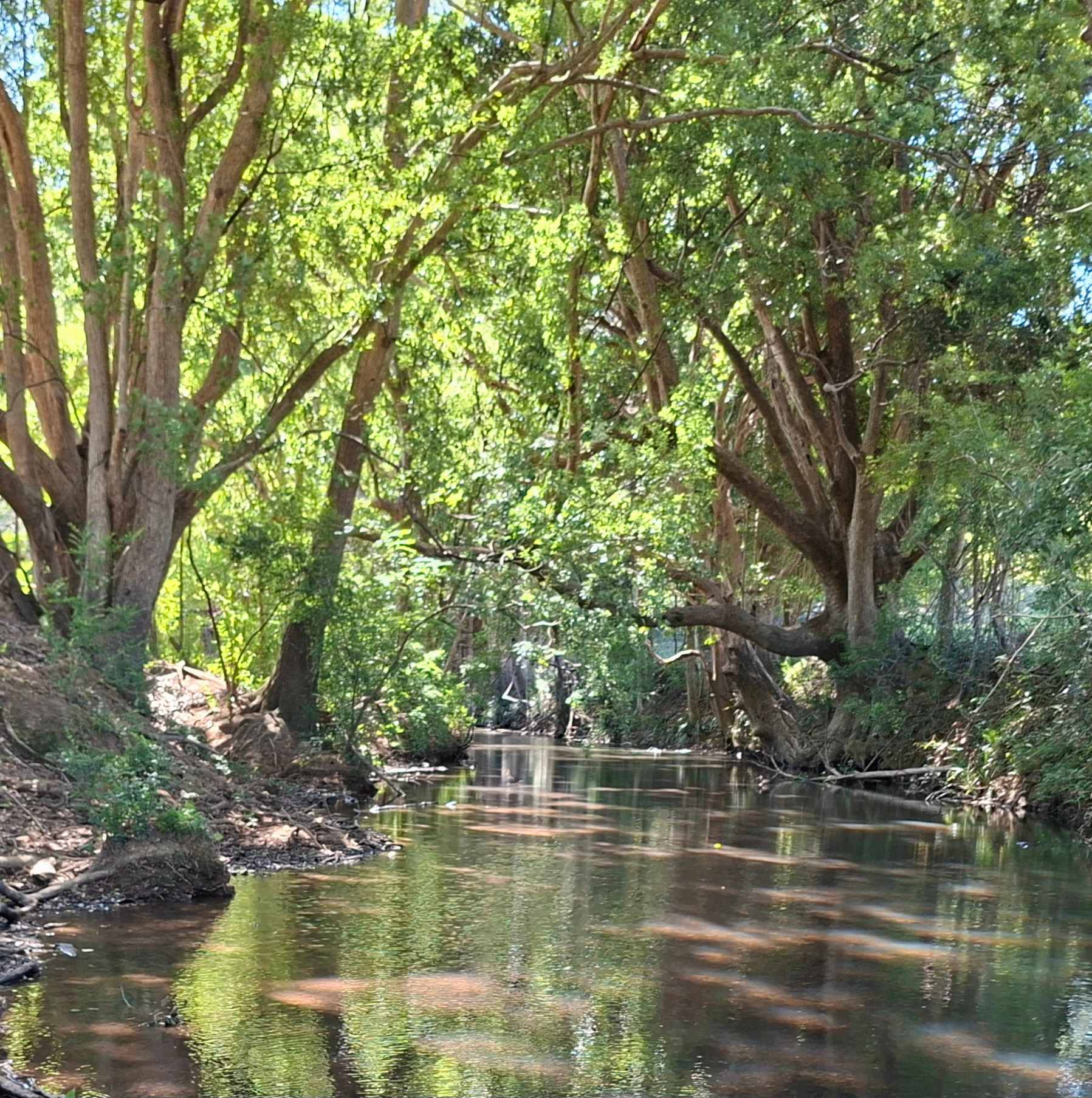 The Old Tractor Farm