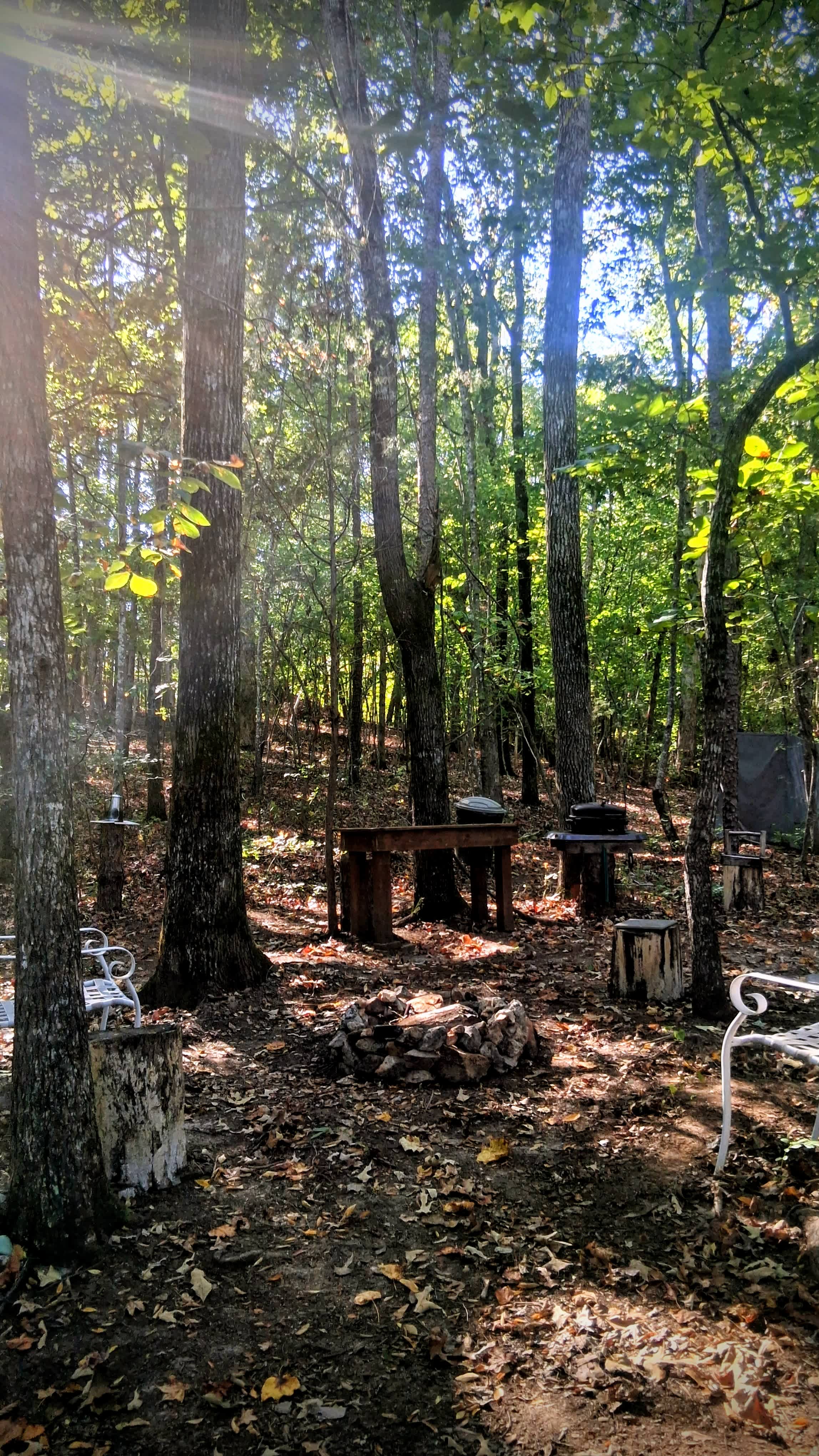 Eden in Lancaster, SC