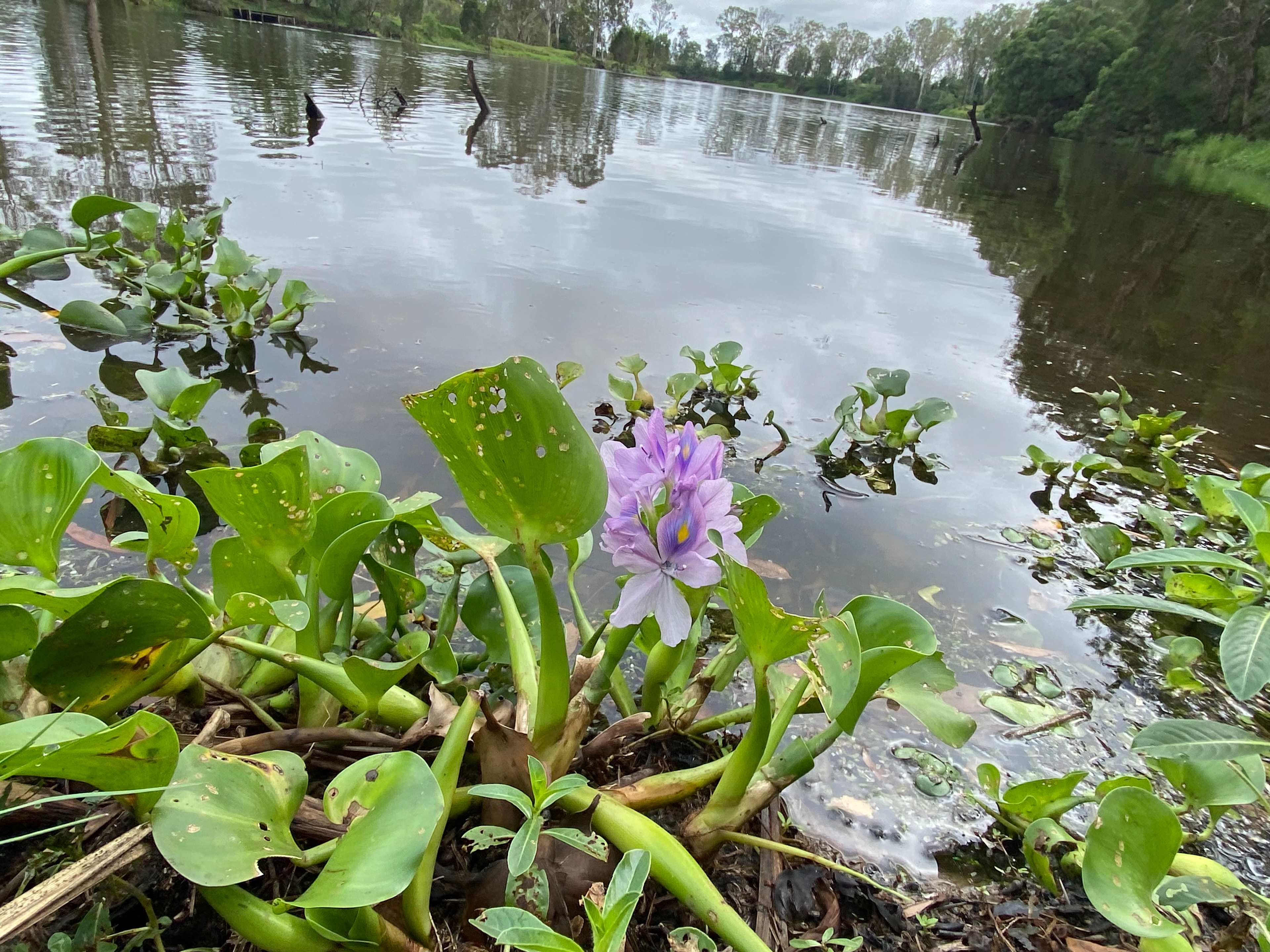 Wright's on the River