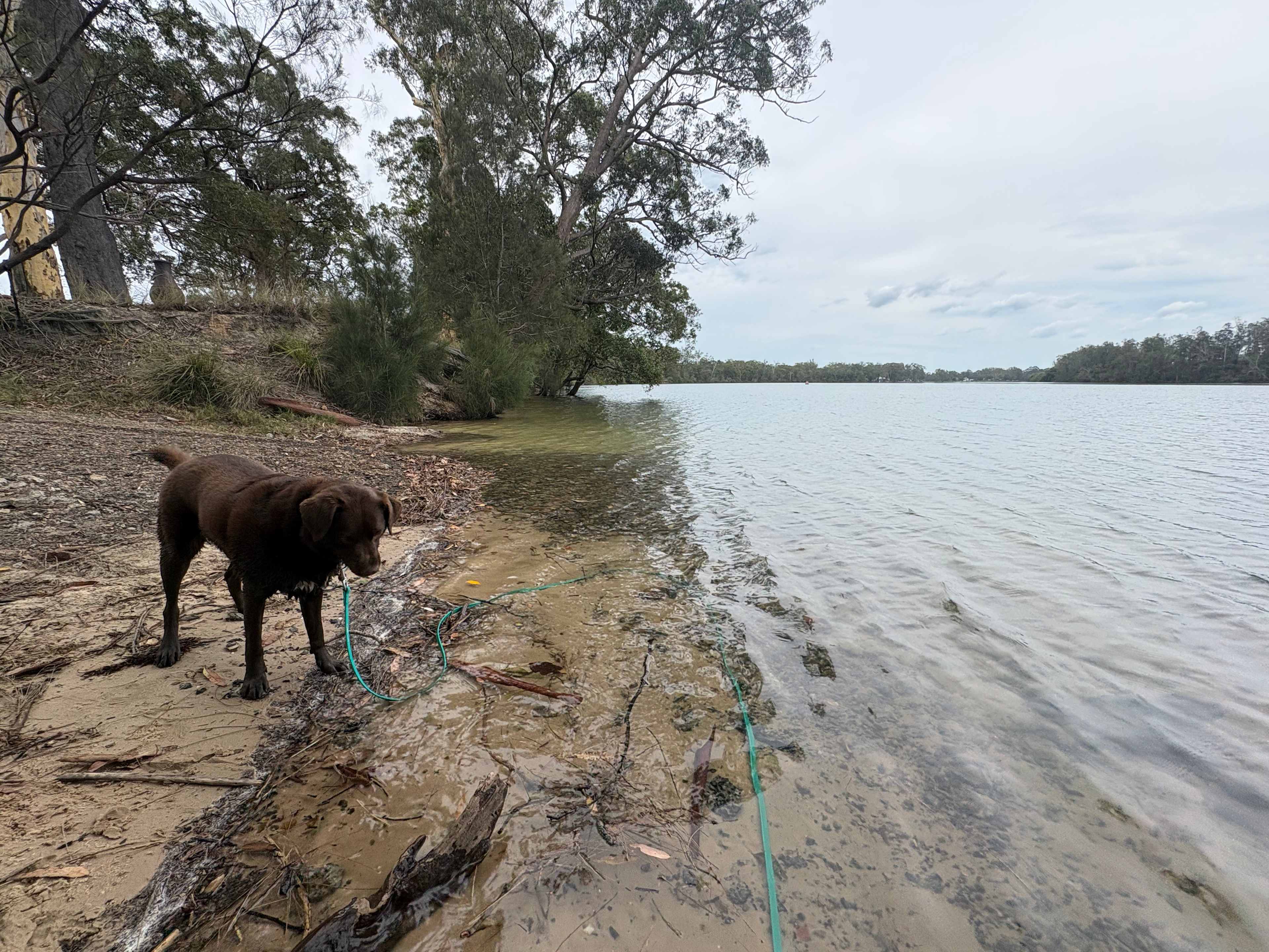 The Hatch Farm - Port Macquarie
