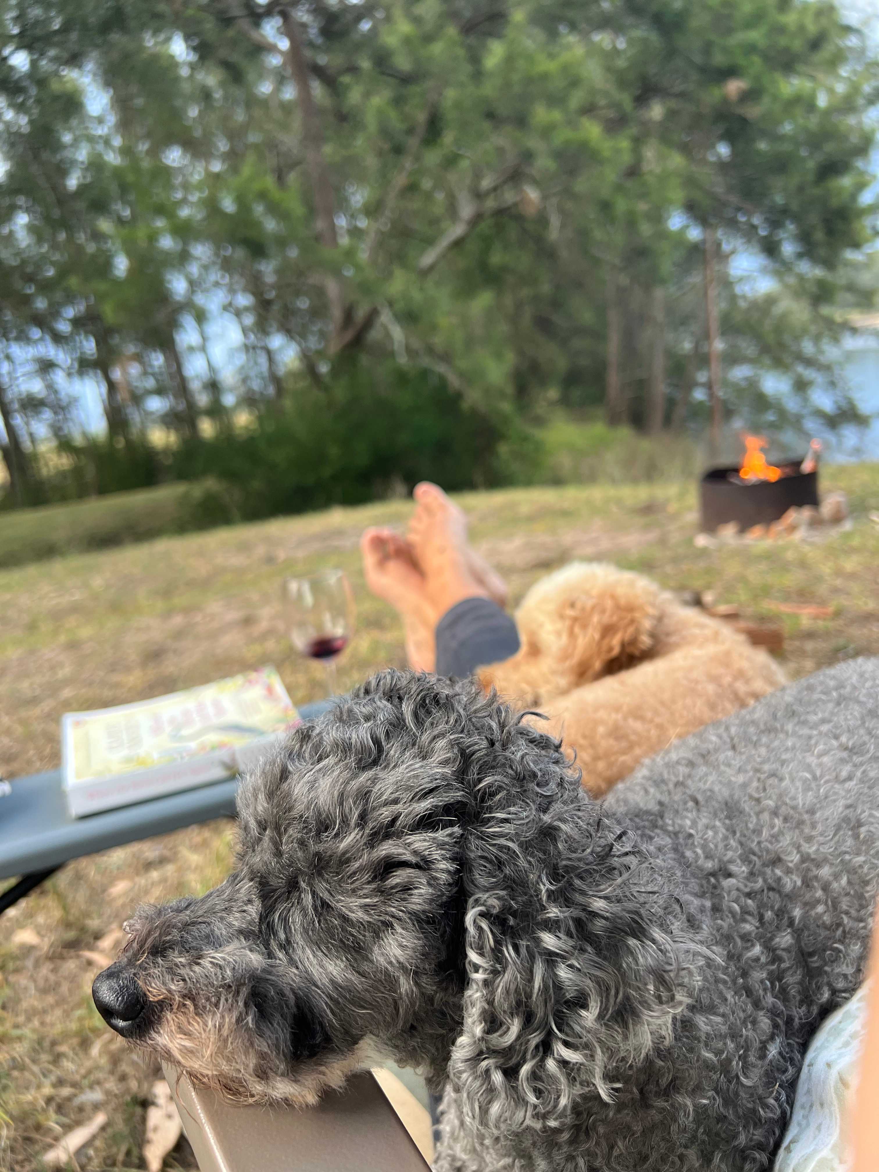 Riverview Farm, Bodalla