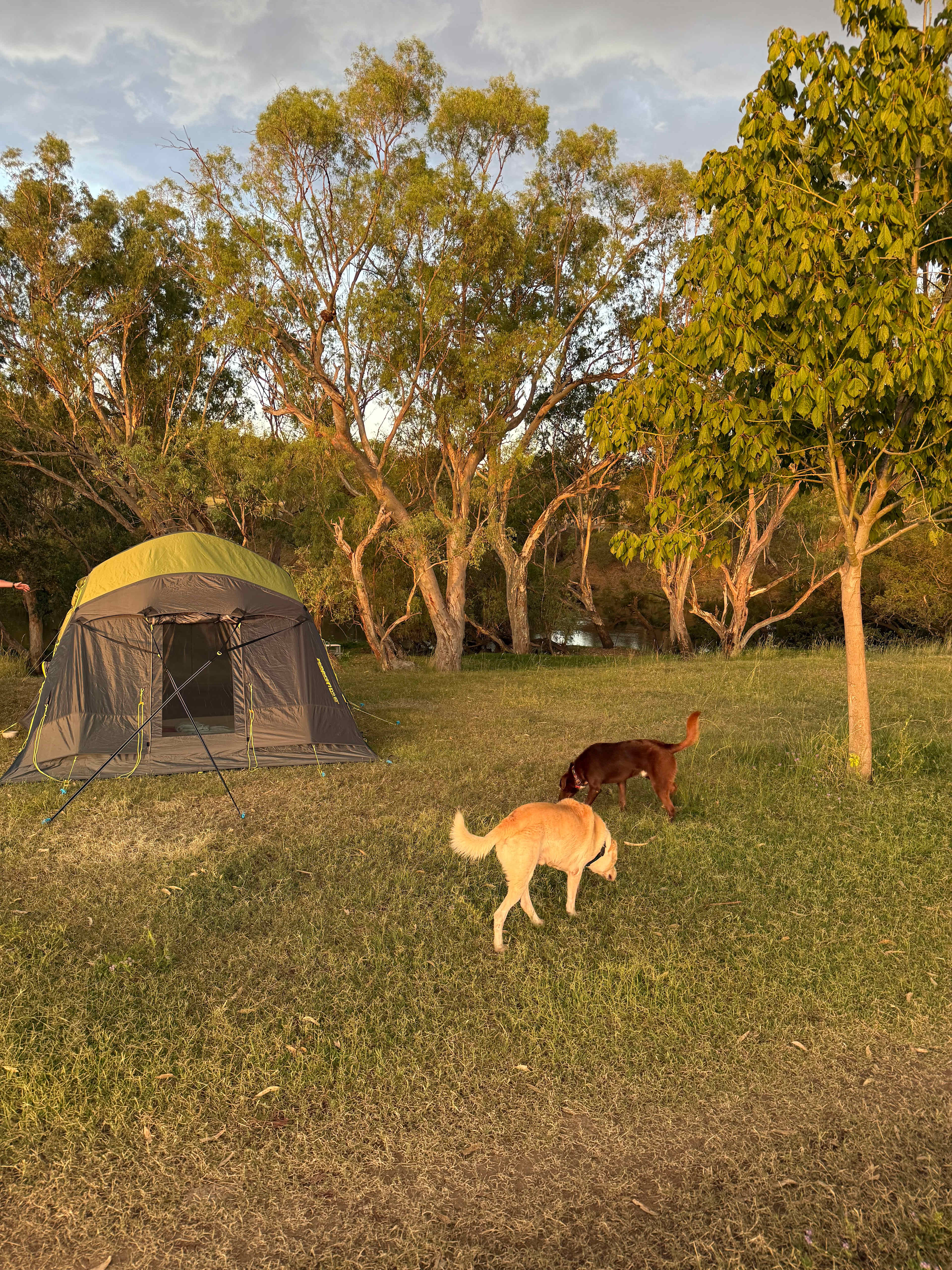 Wongalea Fishing and Camping