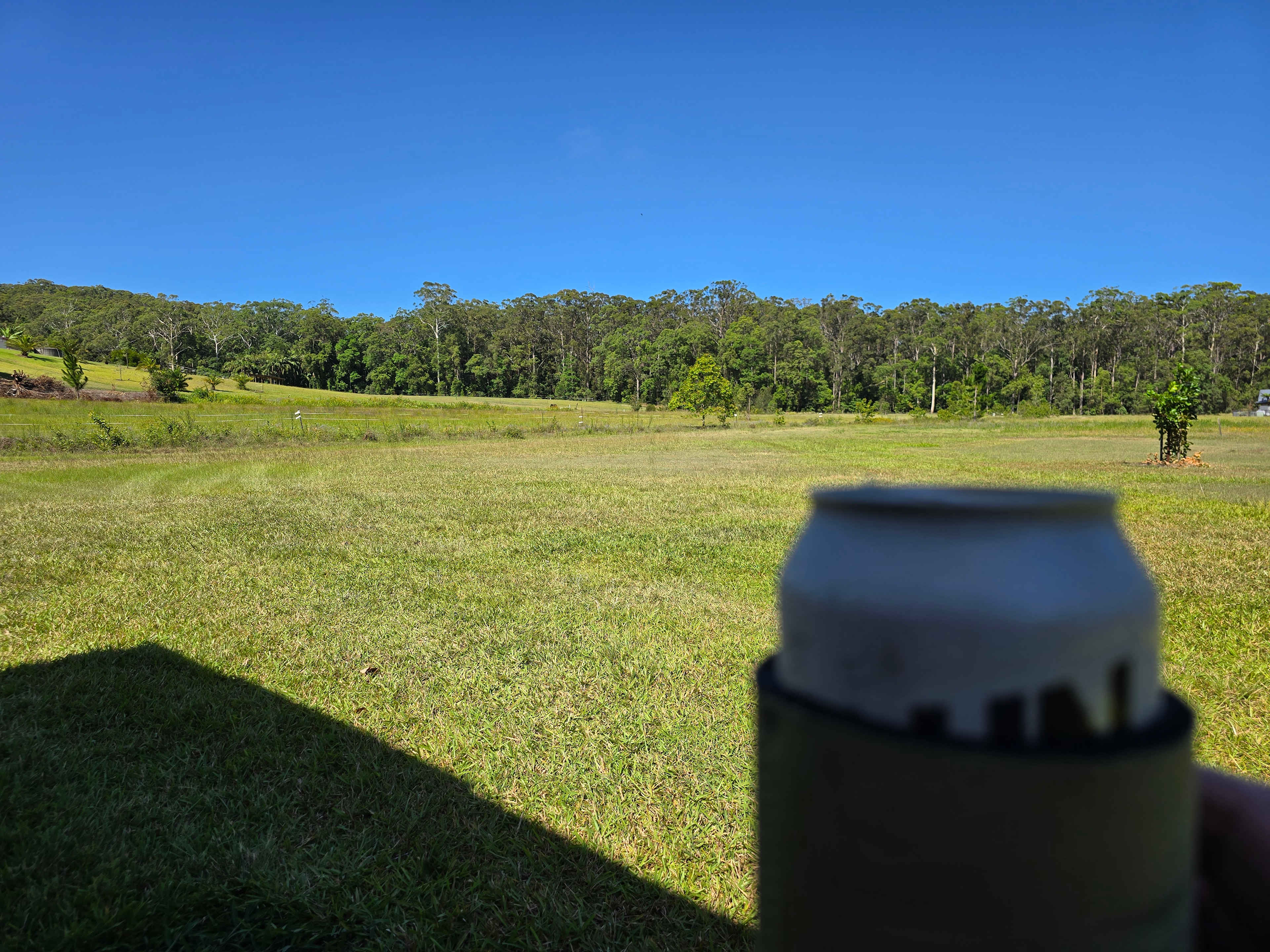 Skippy Trails on Sippy