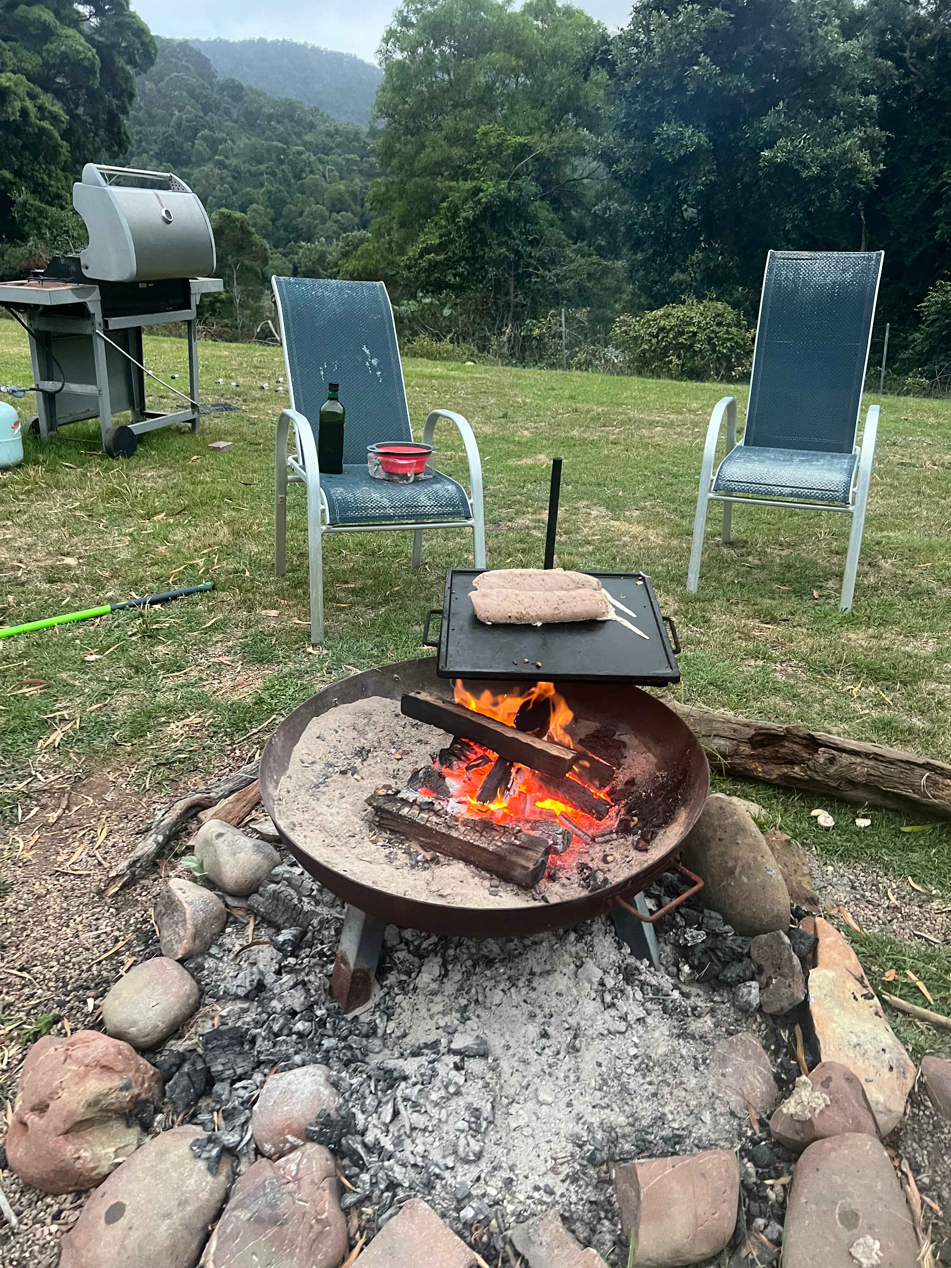 Young Macdonald’s Farm