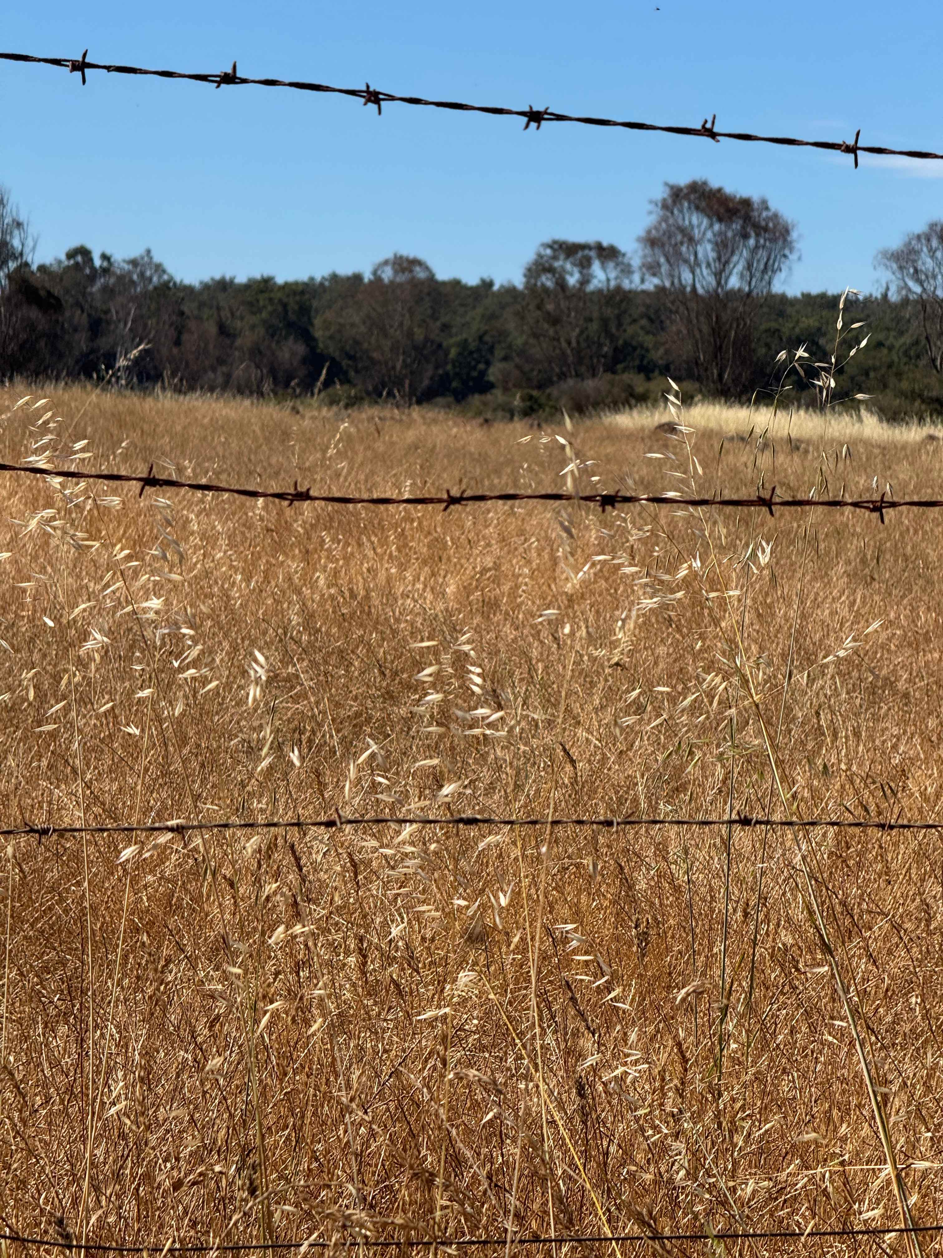Old O’Donnells Farm