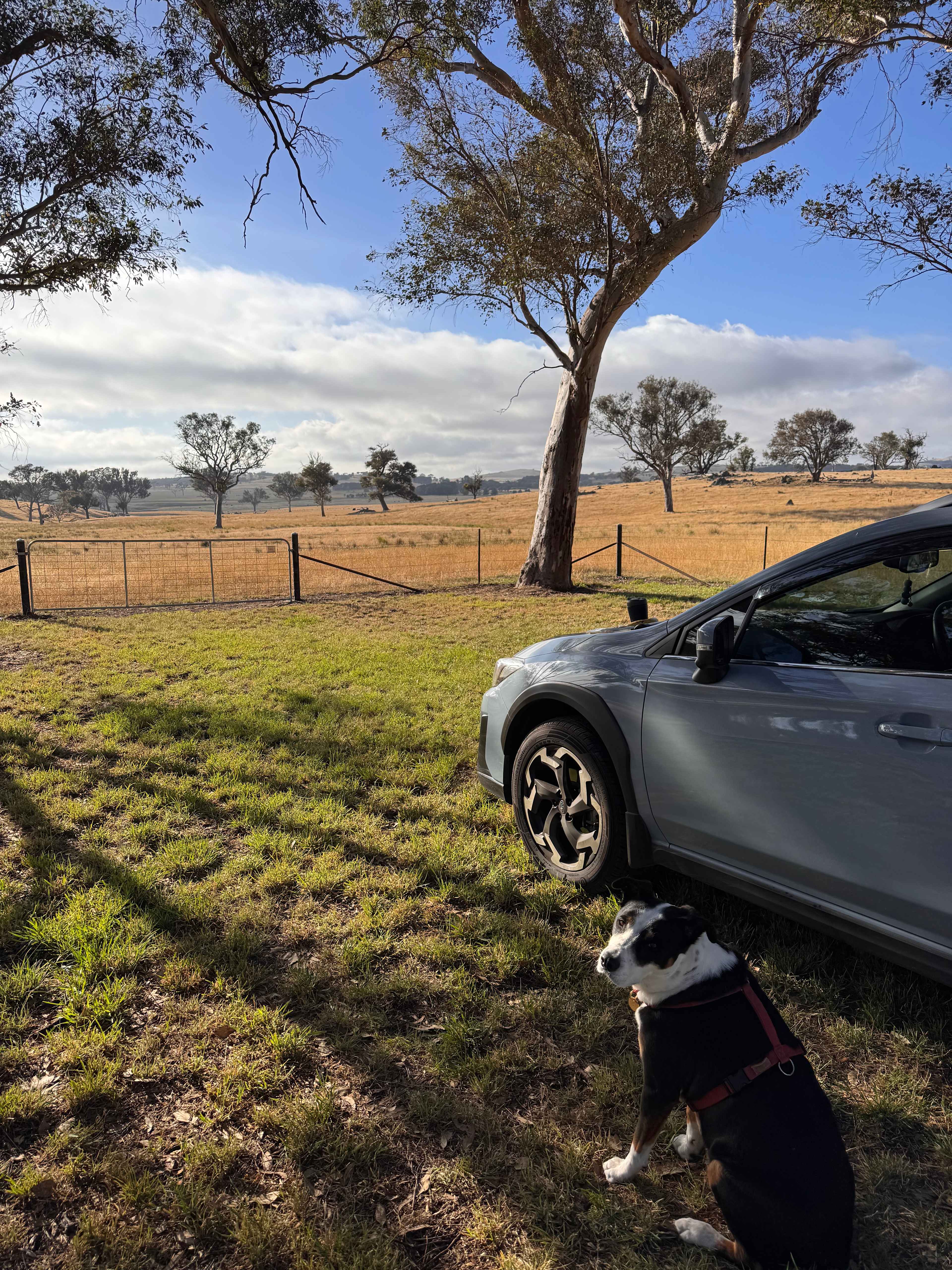 Coots Creek Campground