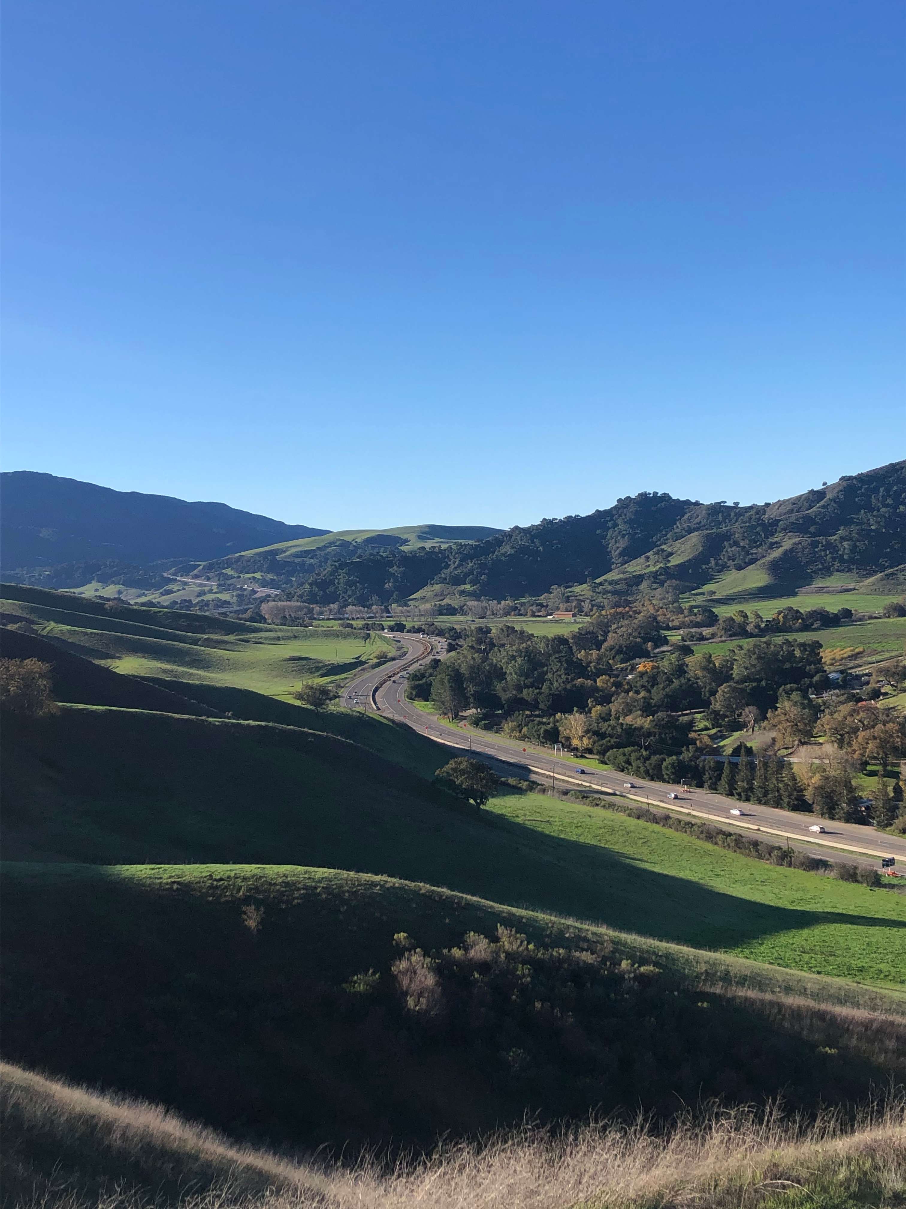 Freedog Farms @ Cactus Flower Ranch